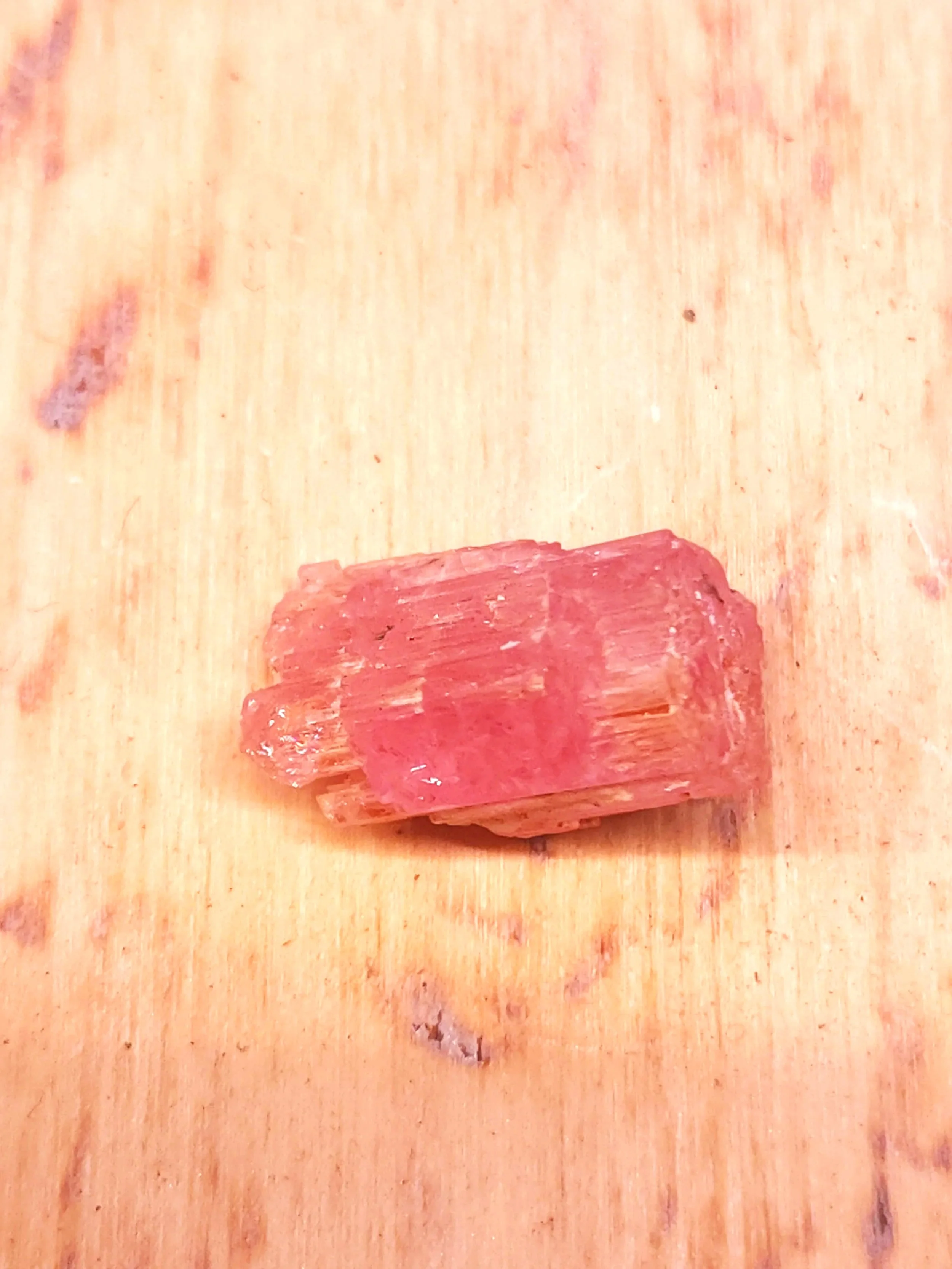 20260903_110607.jpg