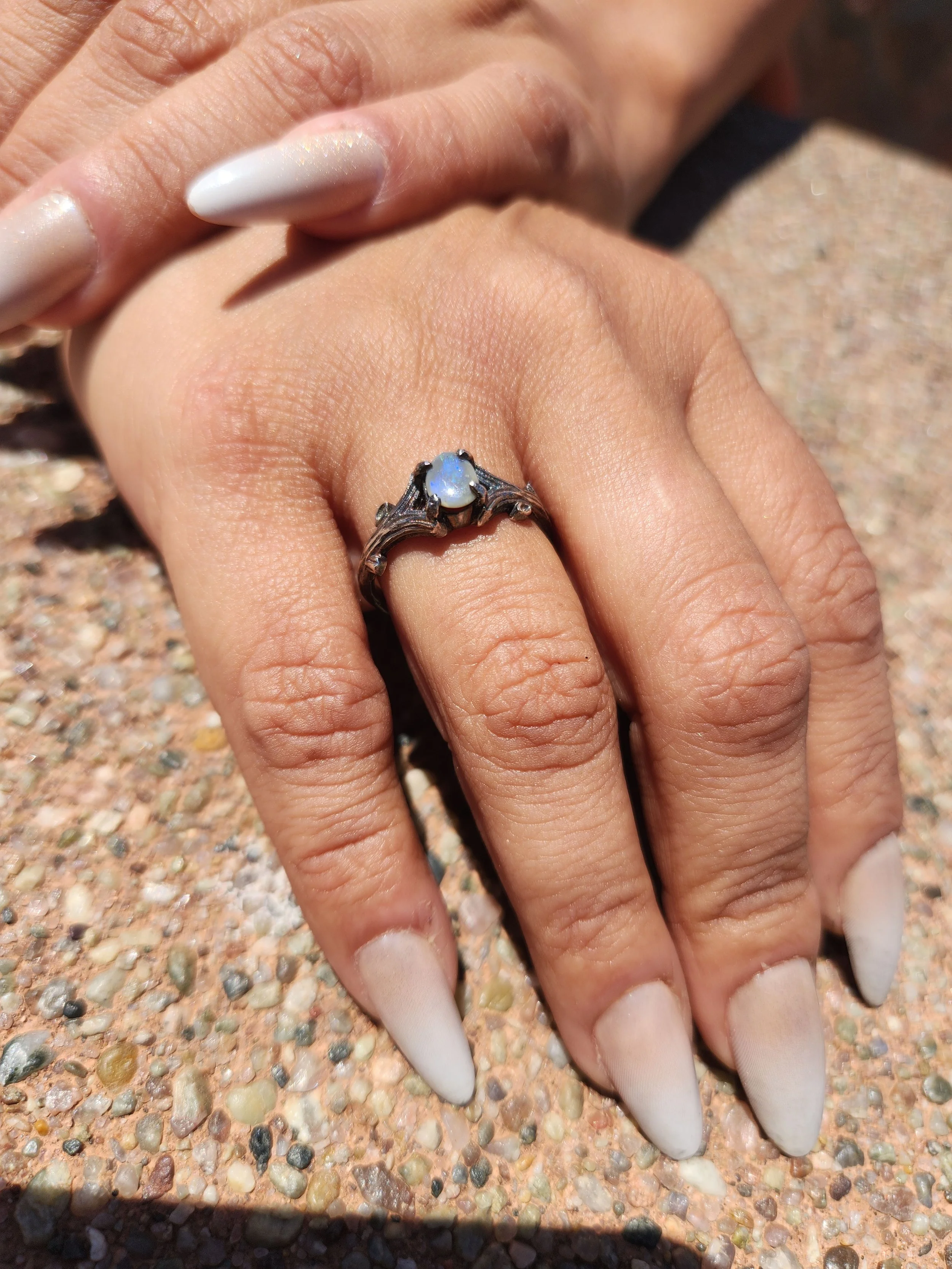 20260619_111320.jpg