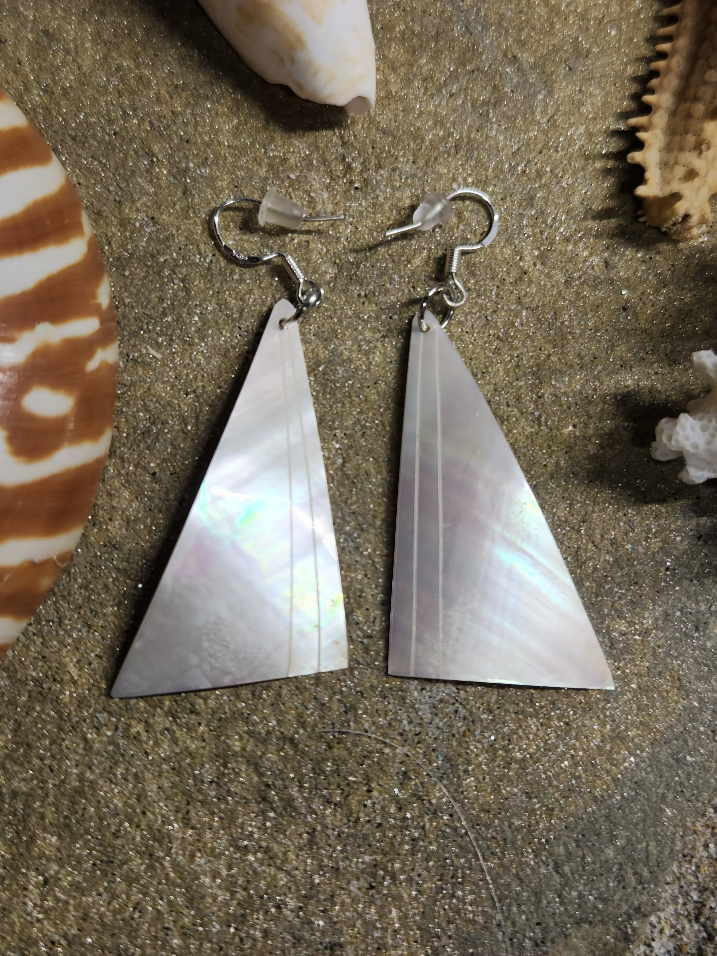 Nautilus Shell Wing Cut Earrings