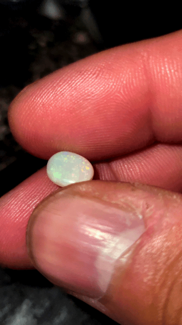 20250210_174050_1.gif