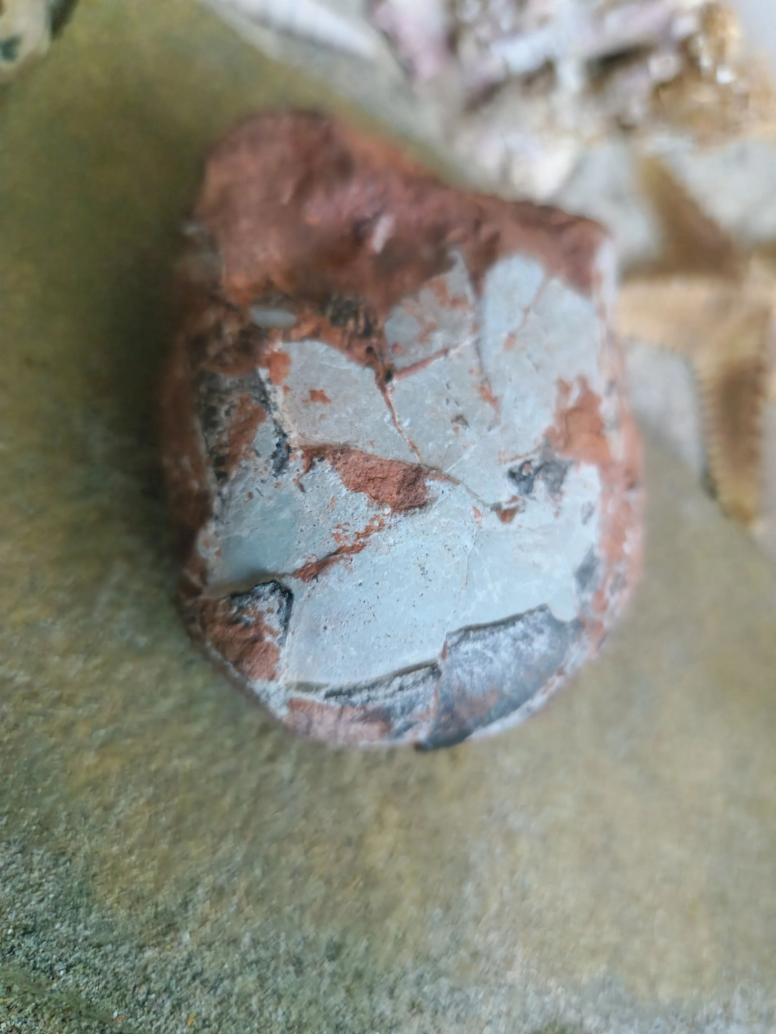 20260620_185301.jpg