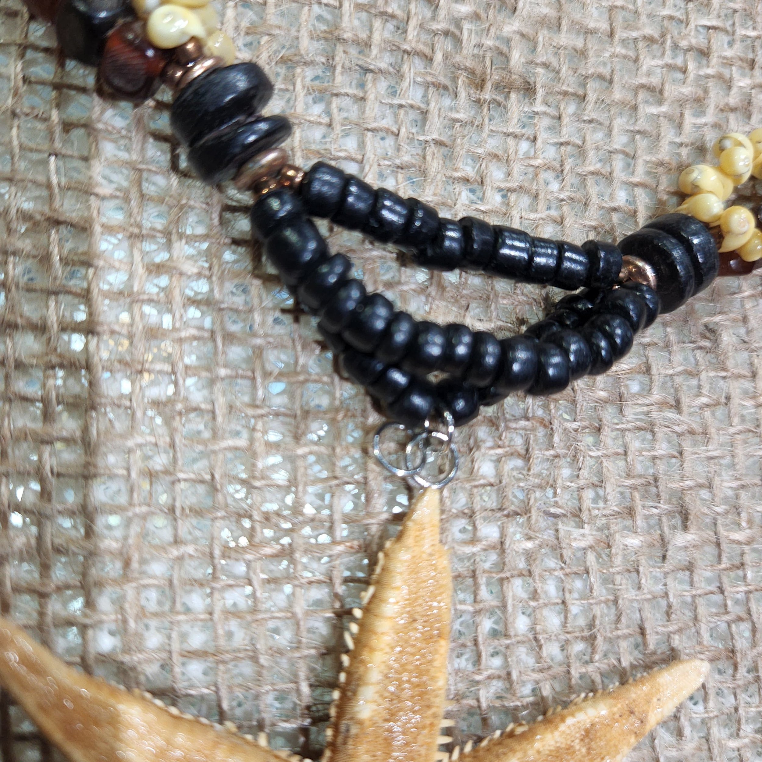 WhatsApp Image 2026-02-09 at 13.12.56.jpeg