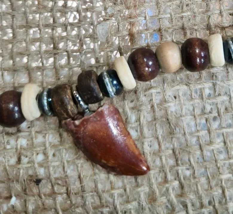 WhatsApp Image 2026-02-09 at 17.41.16 (7).jpeg