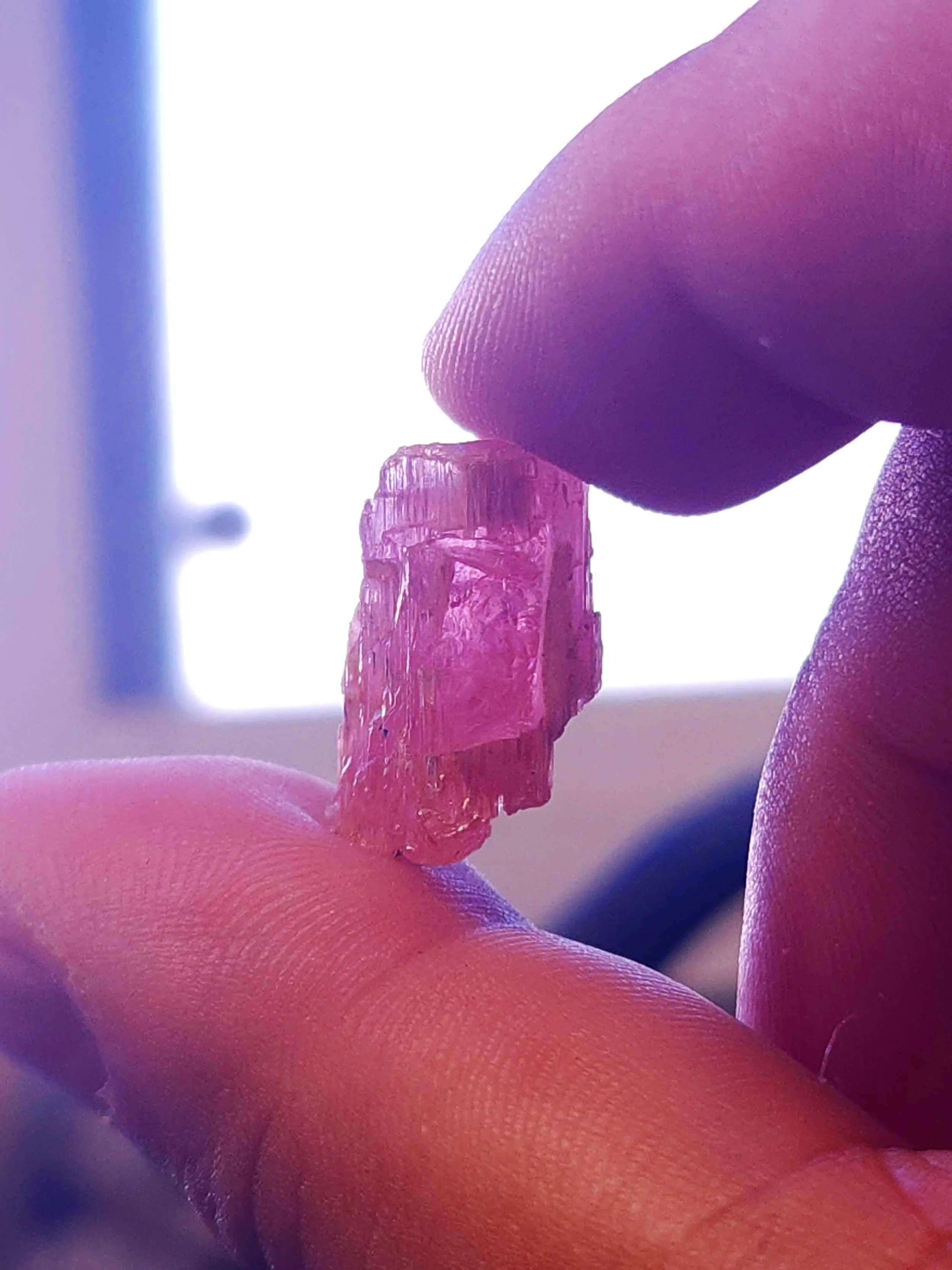20260903_110820.jpg
