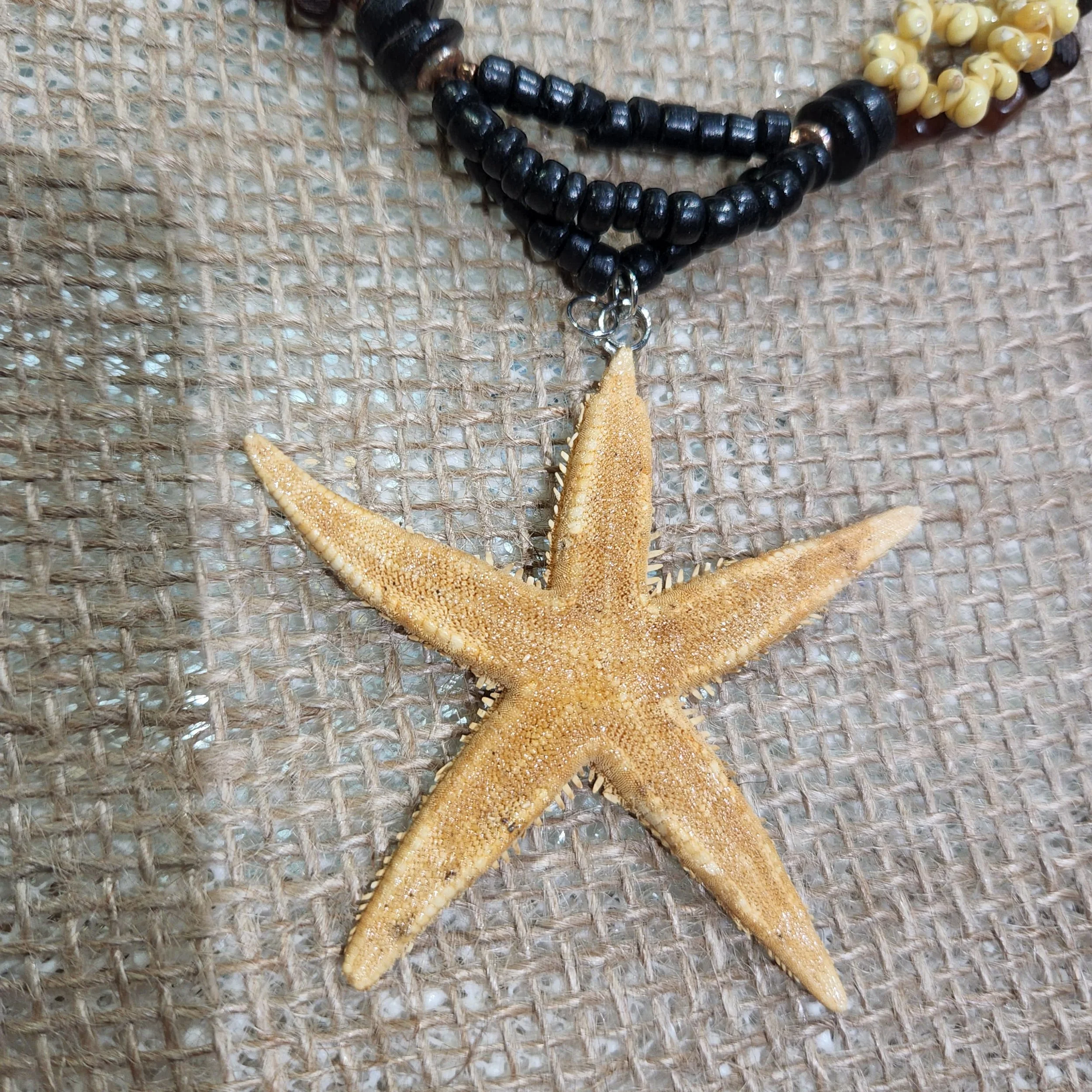 WhatsApp Image 2026-02-09 at 13.12.59.jpeg