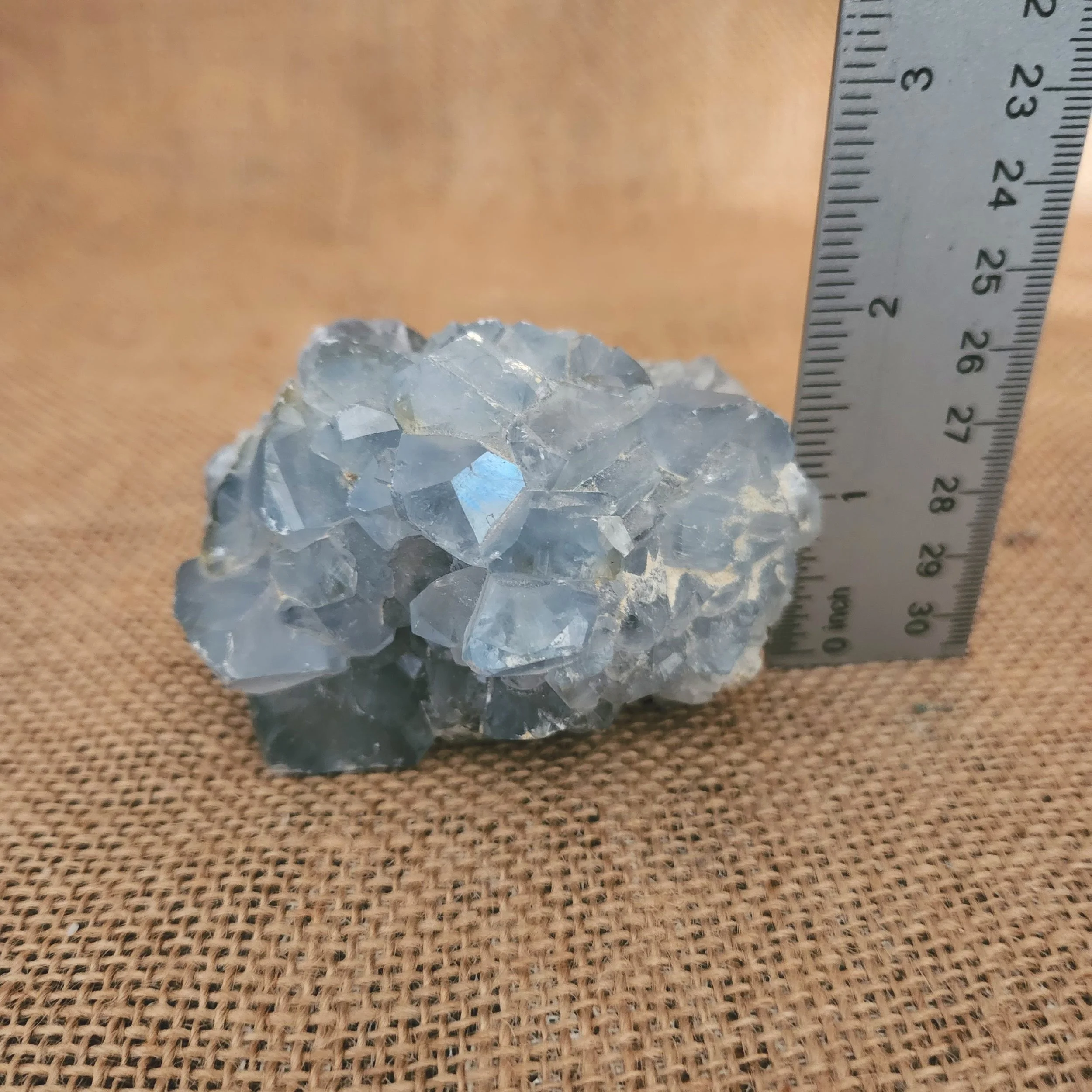 20230216_140743.jpg