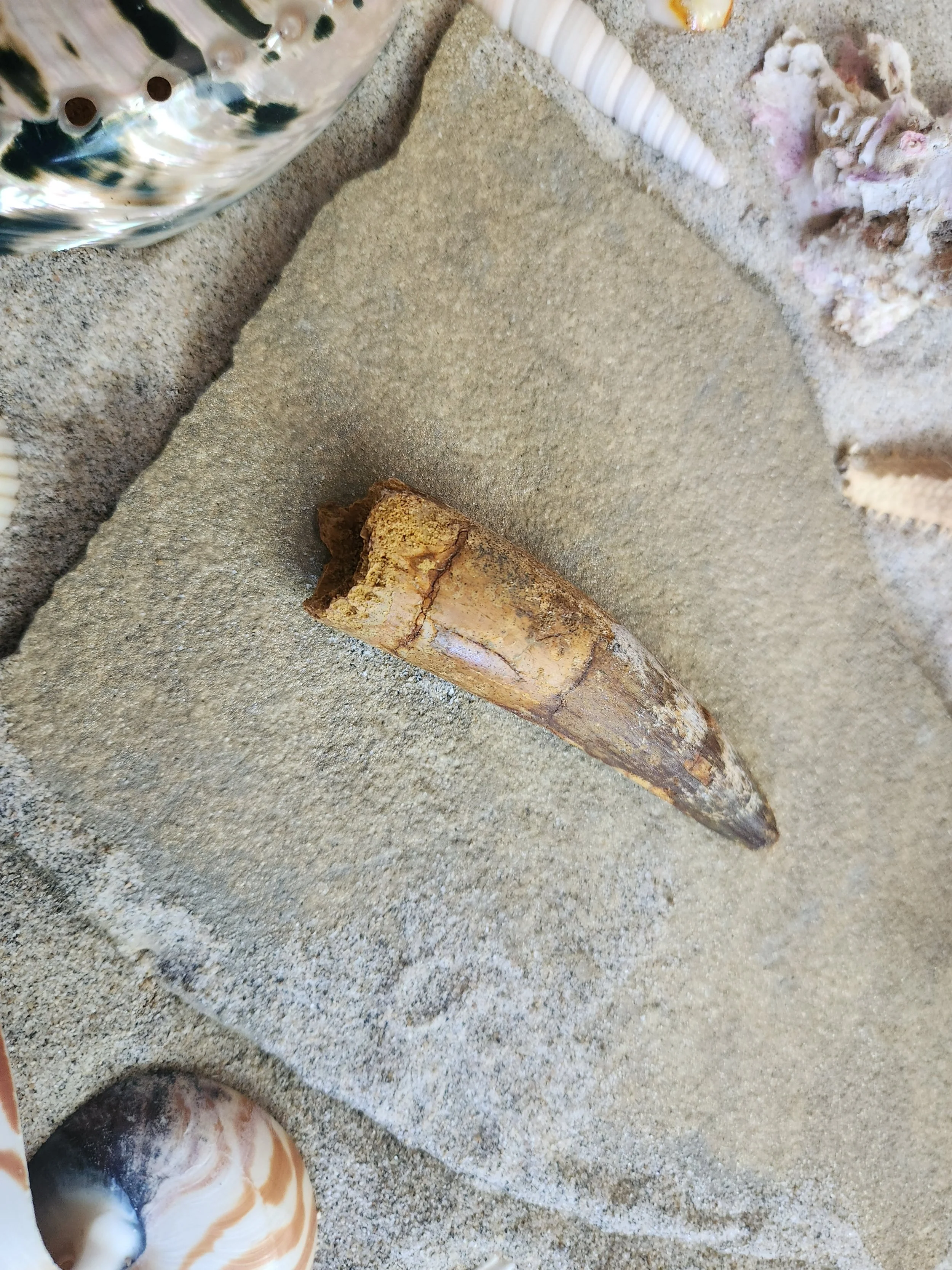 20260620_151233.jpg