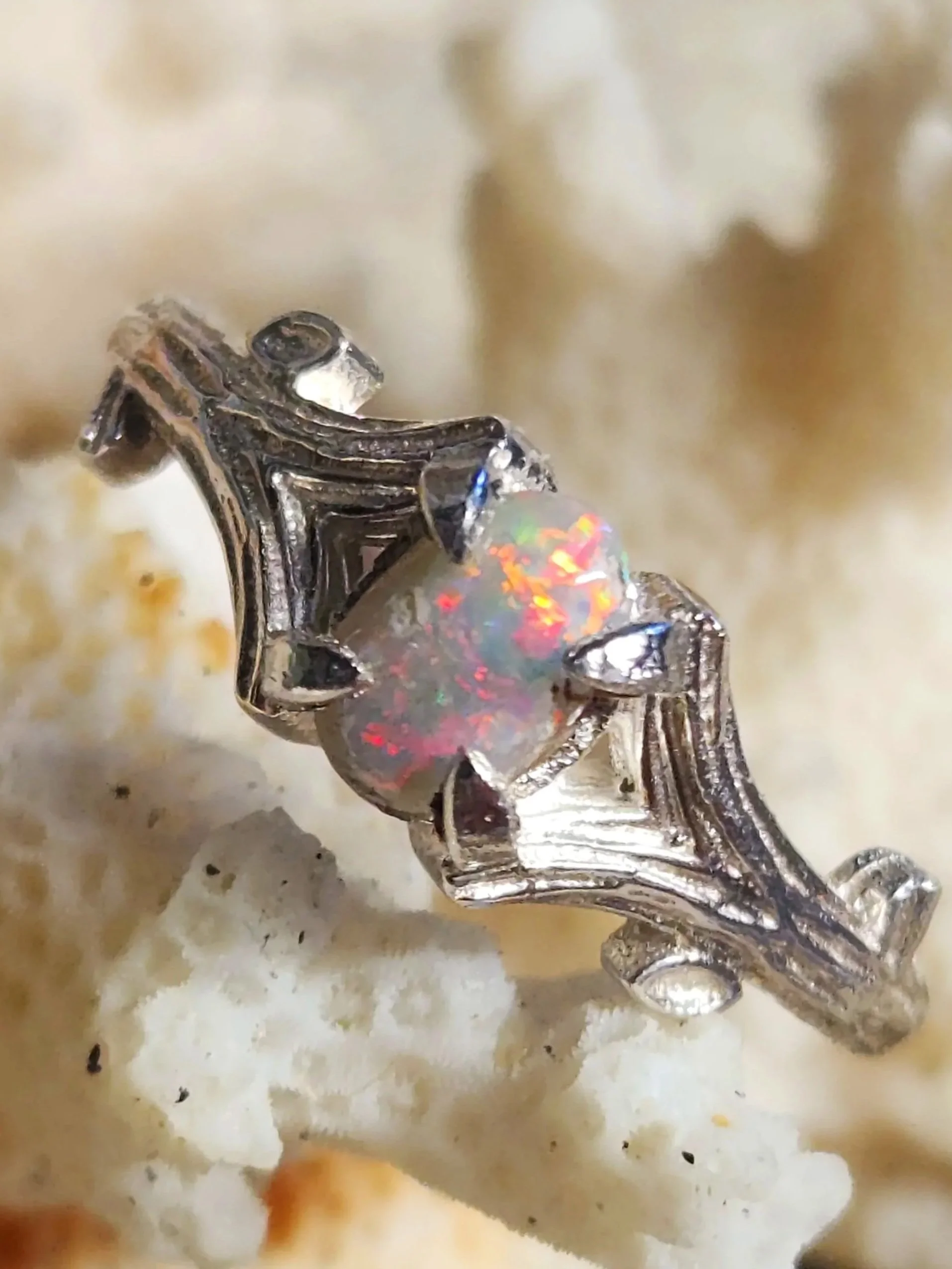 R84%2B-%2BL.gray%2Bred%2Bdom.%2Brainbow%2Bbranch%2Bshank%2B7.75%2B-%2B185.jpg