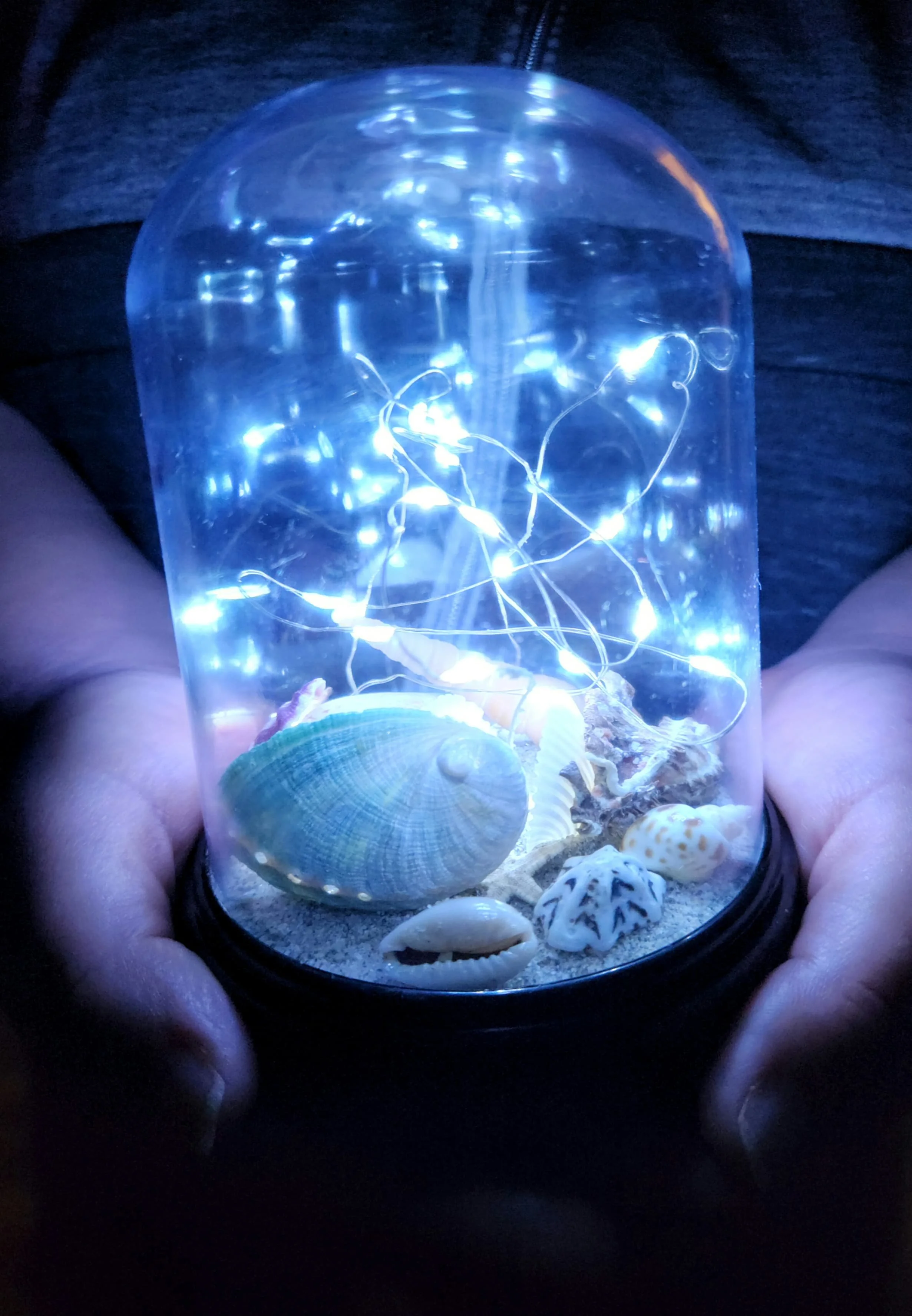 Oceanic LED Lighted Dome