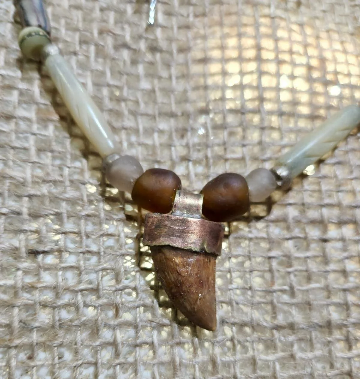 WhatsApp Image 2026-02-09 at 17.41.12 (5).jpeg