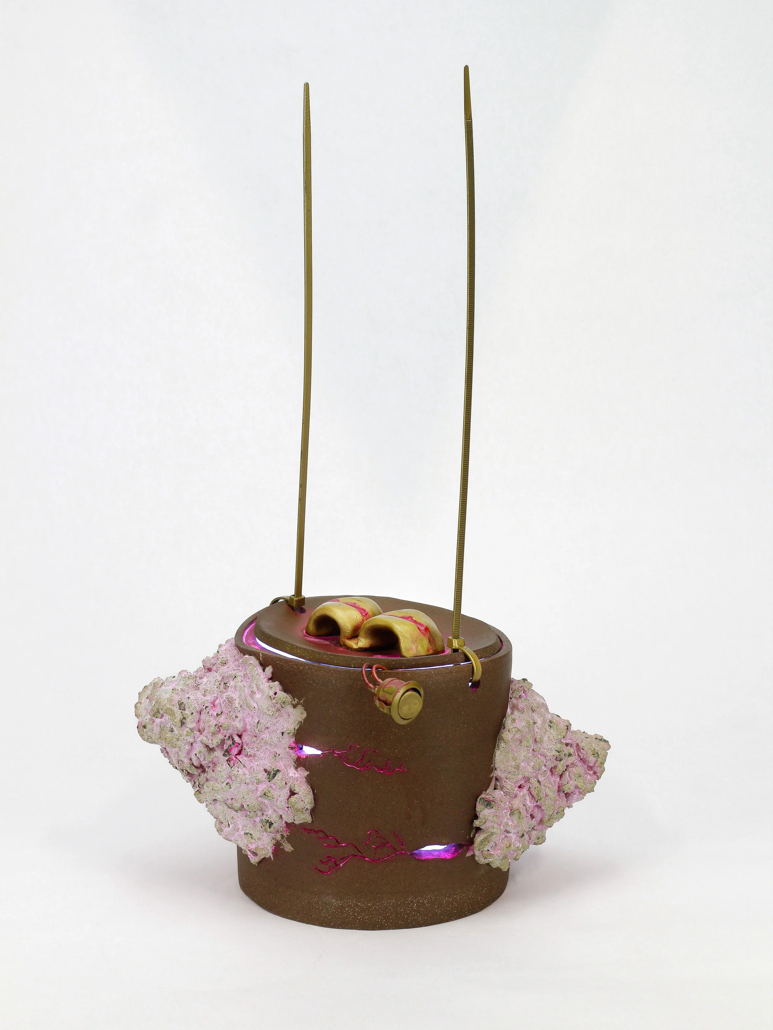 5- Black Box - Anthony Romero.jpg