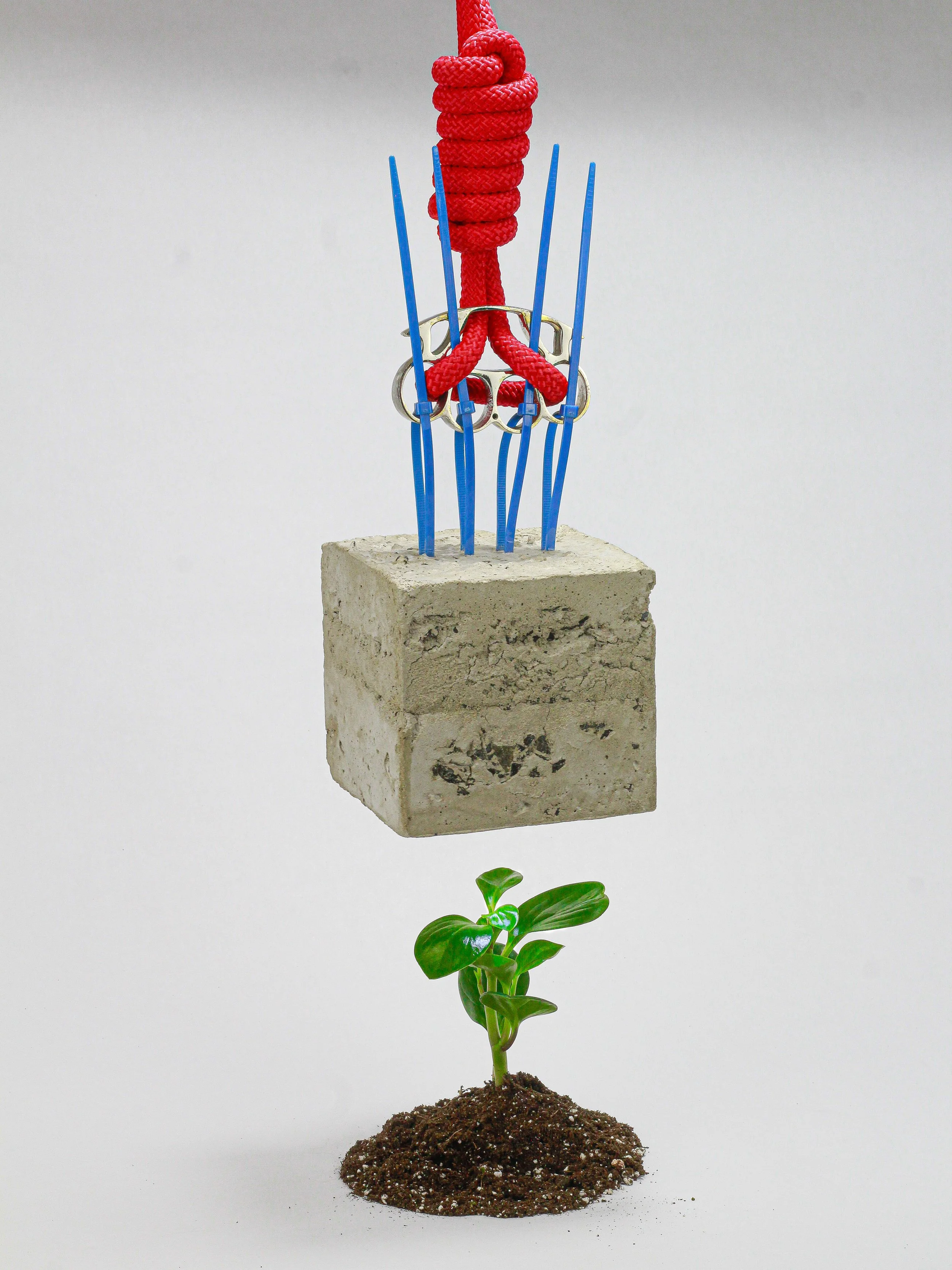 7- Burden of the Soul - Anthony Romero.jpg