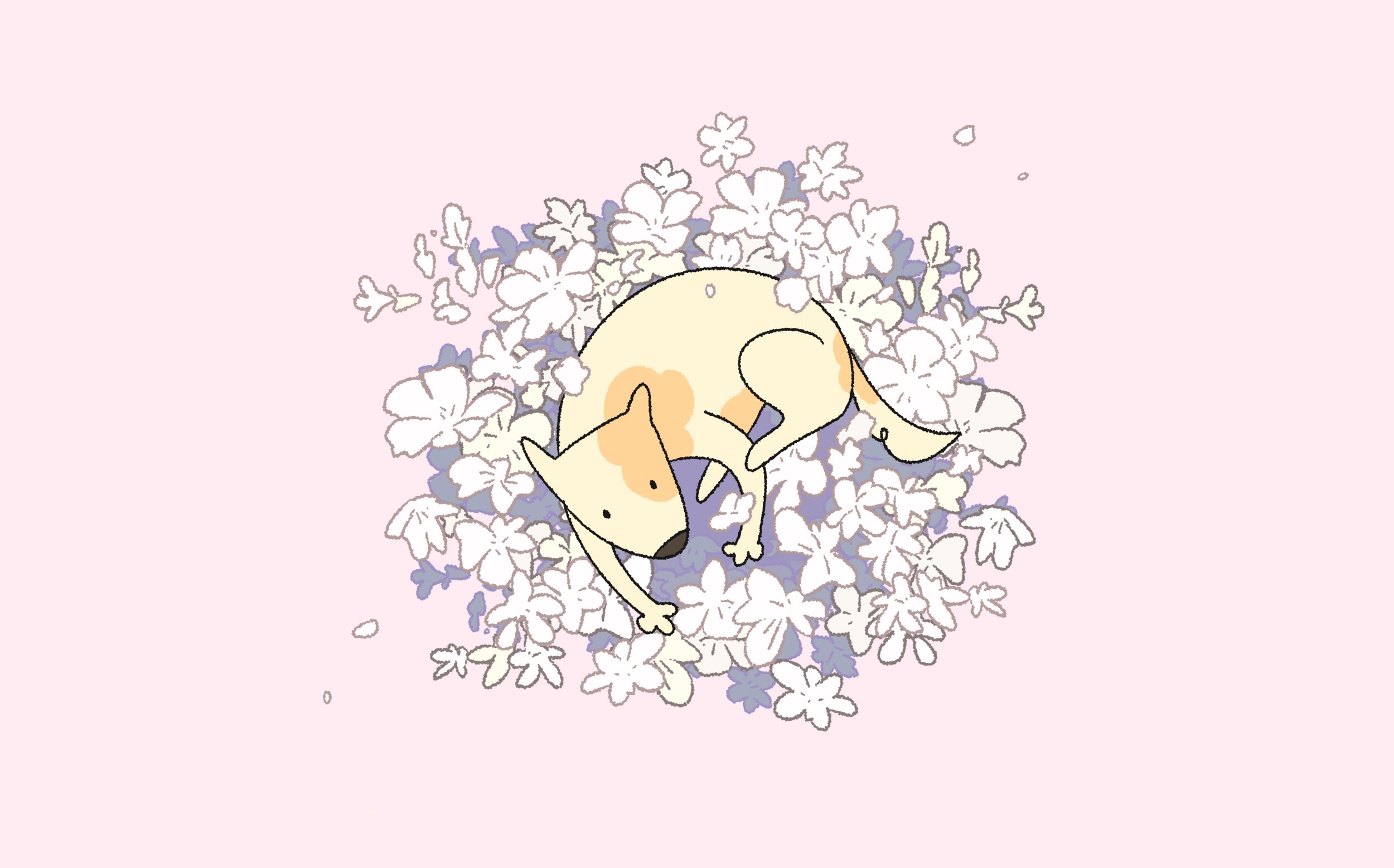 未命名作品 2 (6).jpg