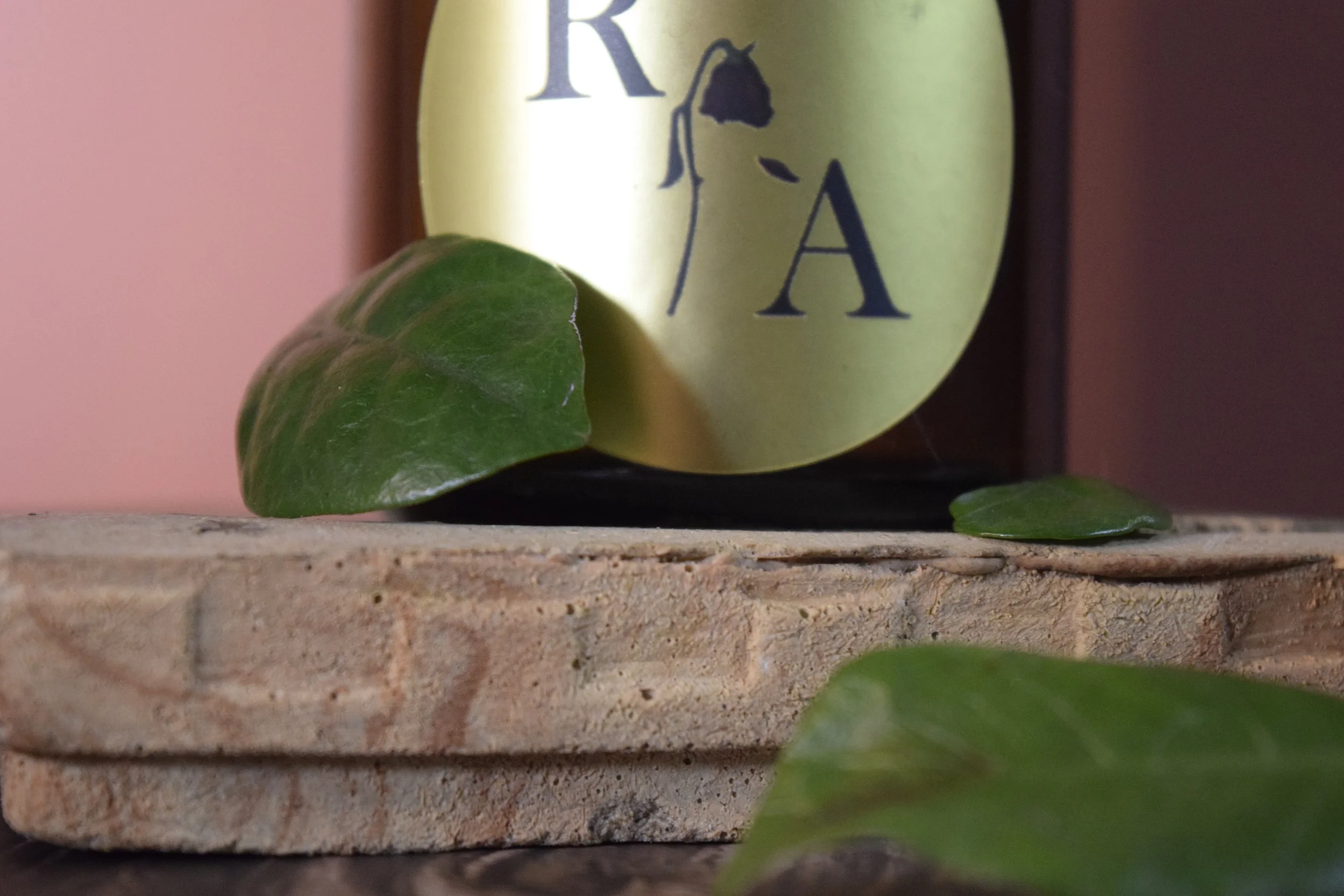 Jasmine & Hinoki Whipped Soap Scrub