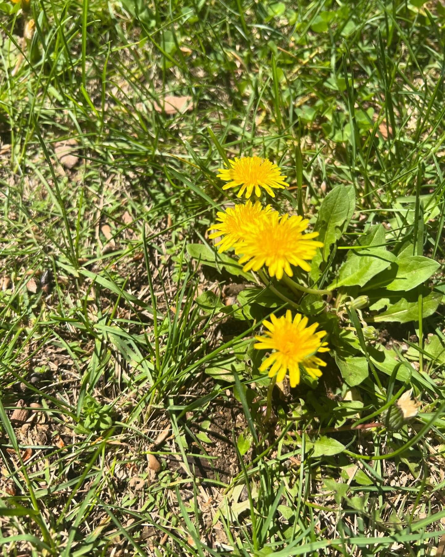 In a world prompting us to overindulge&mdash;
Overindulge in kindness.
Overindulge in love.
Overindulge in sharing the goodness.
Overindulge in daydreaming.
Overindulge in believing that miracles and opportunities can land right in your lap.
Overindu