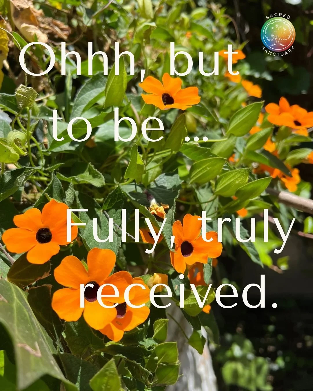✨ To be fully, truly received&hellip; ✨

That&rsquo;s the medicine.
Soul to soul.
No conditions.
All of you - welcome here.  Only love.

We are all yearning for that safe space to breathe, to let truth shine&mdash;so we may finally be free.
Free to b