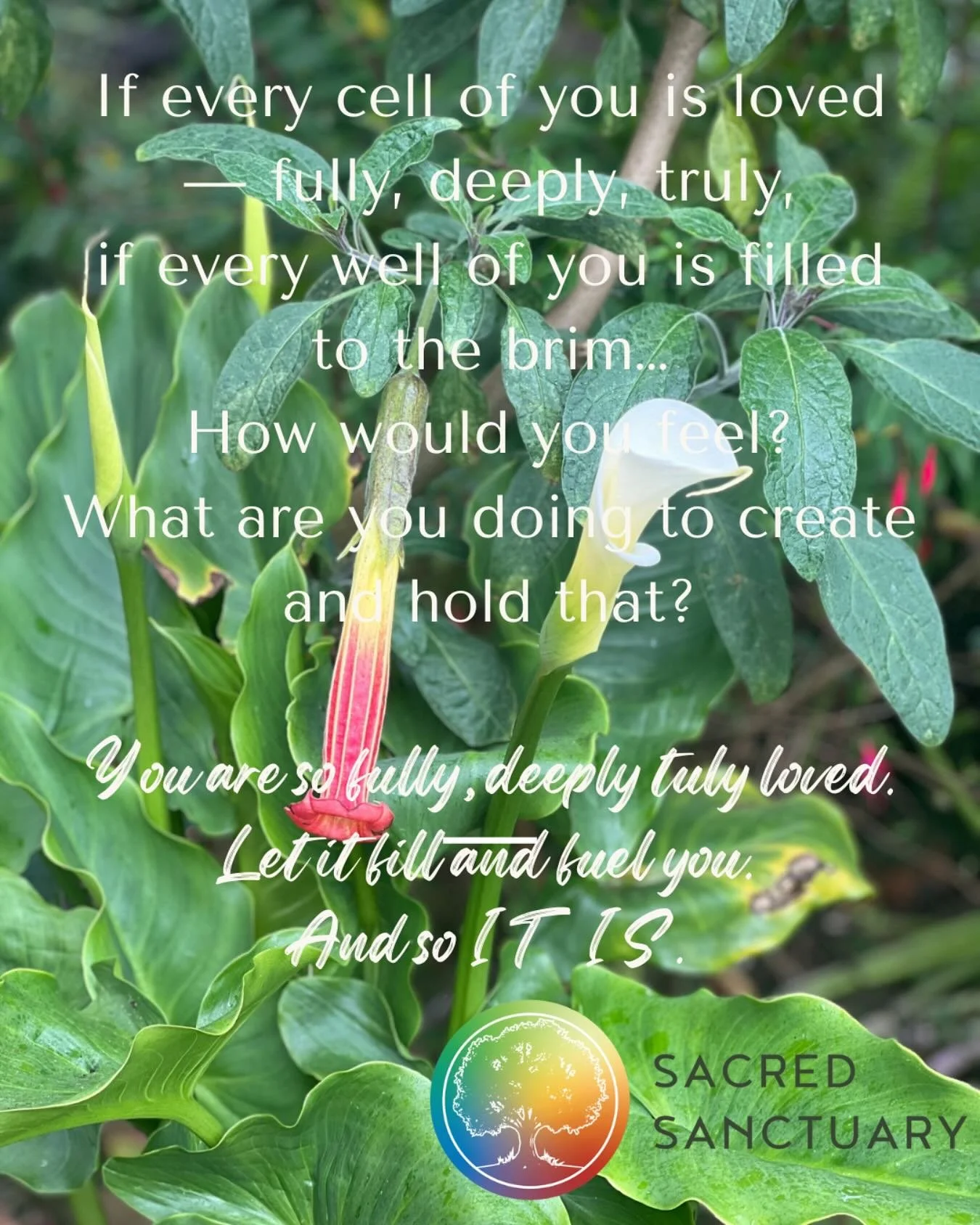 ⬆️⬆️⬆️ What one purposeful thing are you doing TODAY to create and hold that love?

State it. Act on it. 🗣️☑️

You are so deeply loved. 
Let it fill you and fuel what comes next.⛽️
And so it is. ✨

💪 My act of self-love: committing to a new workout