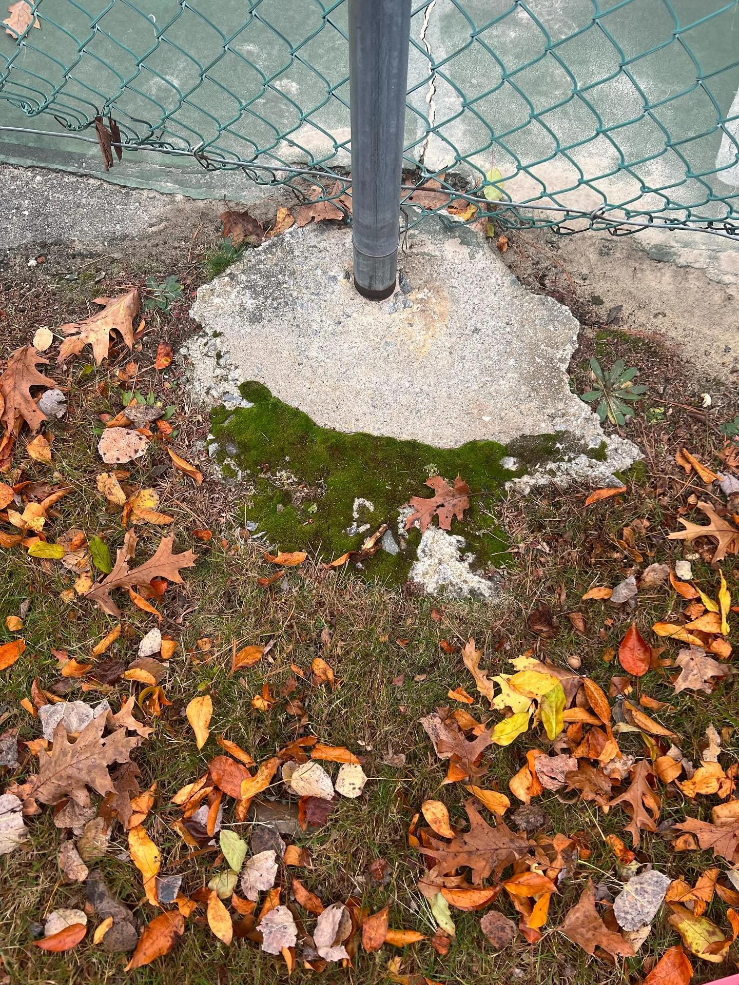 Growth can happen anywhere.

This sweet little moss found its cozy home &mdash; planted, rooted, right here.

The destination is here.
Right here.
Right now.

Bringing it back to the present moment. Always.

✨ To land more present when the mind is wi