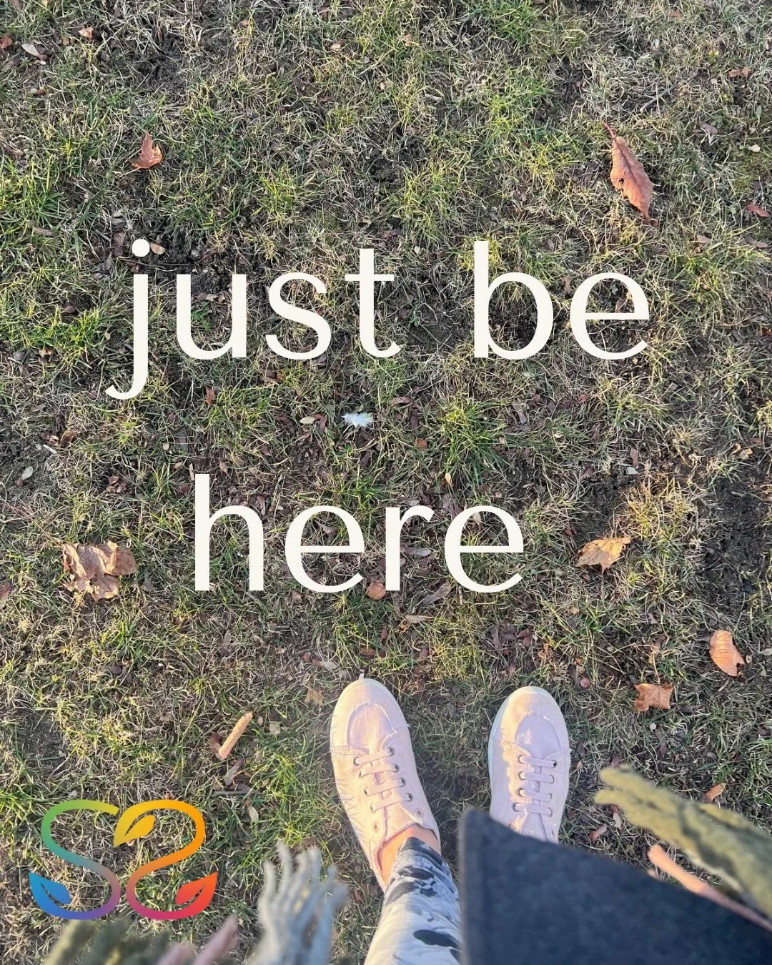 Small Biz Saturday love ✨

Sacred gifts. Local love. Intentional exchange. Invest in what feels right for you.
Sacred gifts that keep giving. 💞

&bull; Tarot BOGO &mdash; $50 / 50 min
&bull; EFT: Buy 4, get the 5th free &mdash; $85/session
&bull; Re