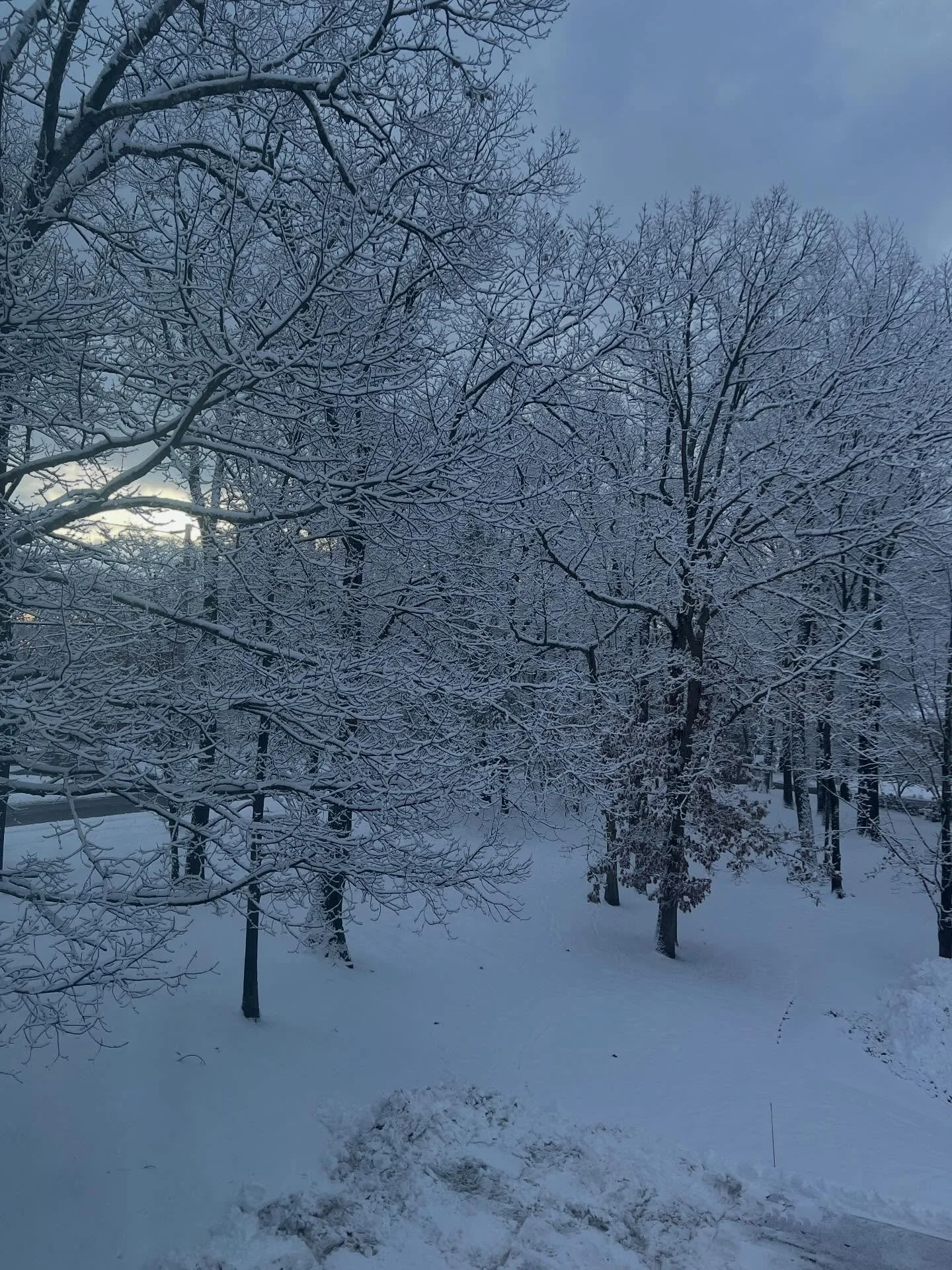 Mercury retrograde anyone?? 

Weekly Tarot Guidance is up on YouTube. I hit a few tech issues and I&rsquo;m low on fuel, so I&rsquo;m honoring my own sacred needs and retiring from trying to repost tonight. I&rsquo;ll revise tomorrow.

Link is in my 