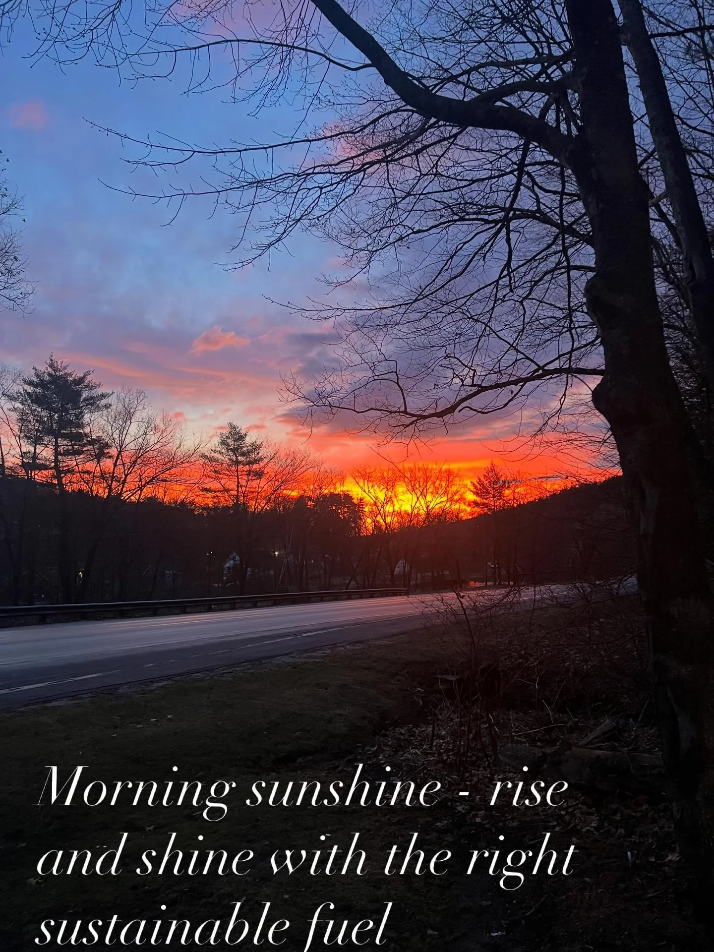 Grounding Morning Drink - Egg Chai Latte

For those mornings when your system feels &ldquo;off&rdquo; or digestion isn&rsquo;t fully online, this is a warm, nourishing, easy-to-digest drink that supports grounding and gentle fuel. For myself and clie
