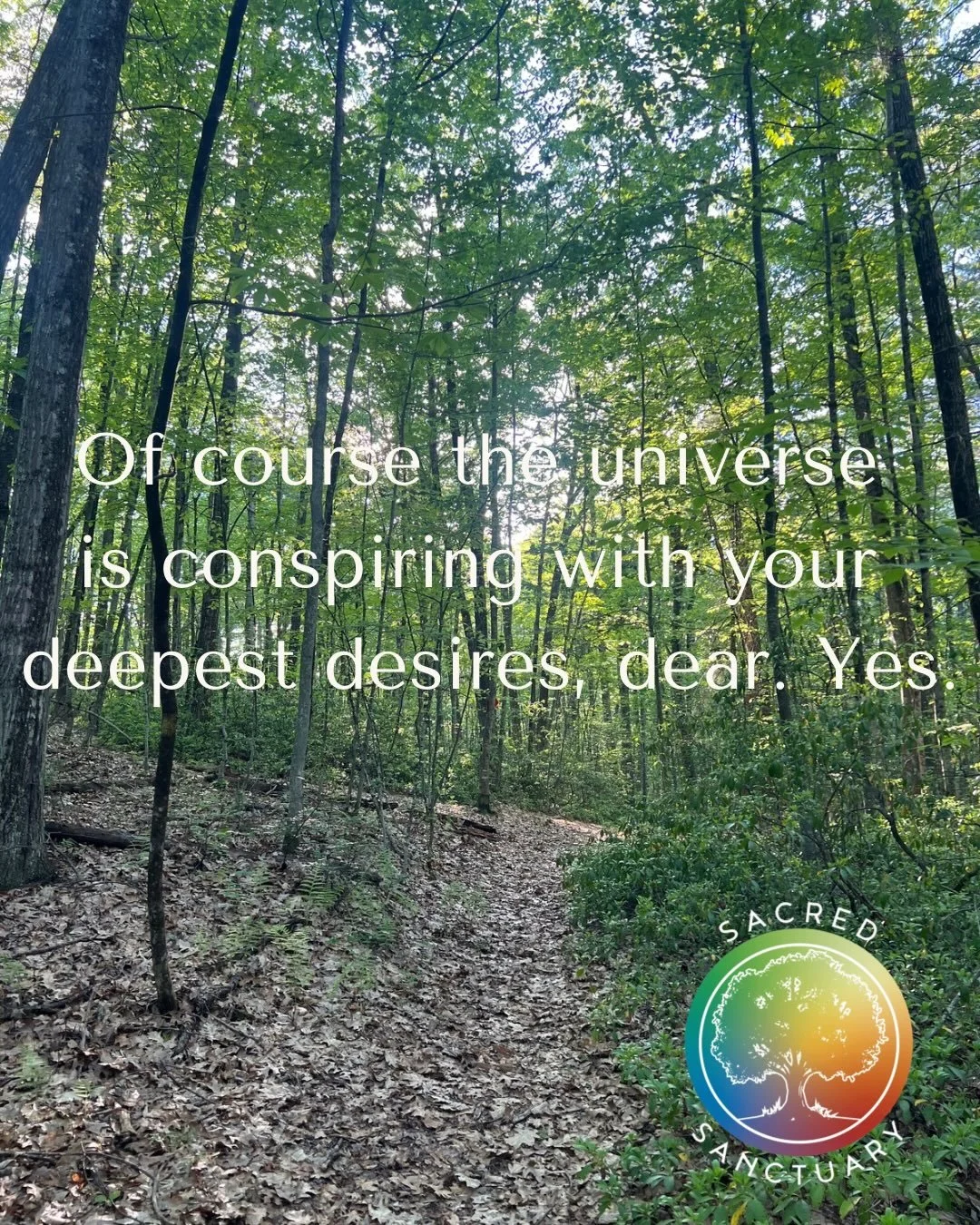 Tinkering ▶️

Be the channel &mdash; as only you can.

Taking what you need for you. Telling others how to treat you with respect. Sexy as hell, I tell you.

Compassion. Grace. Deep reverence.

Slow and steady, we win this race.  And we rise.

Don&rs