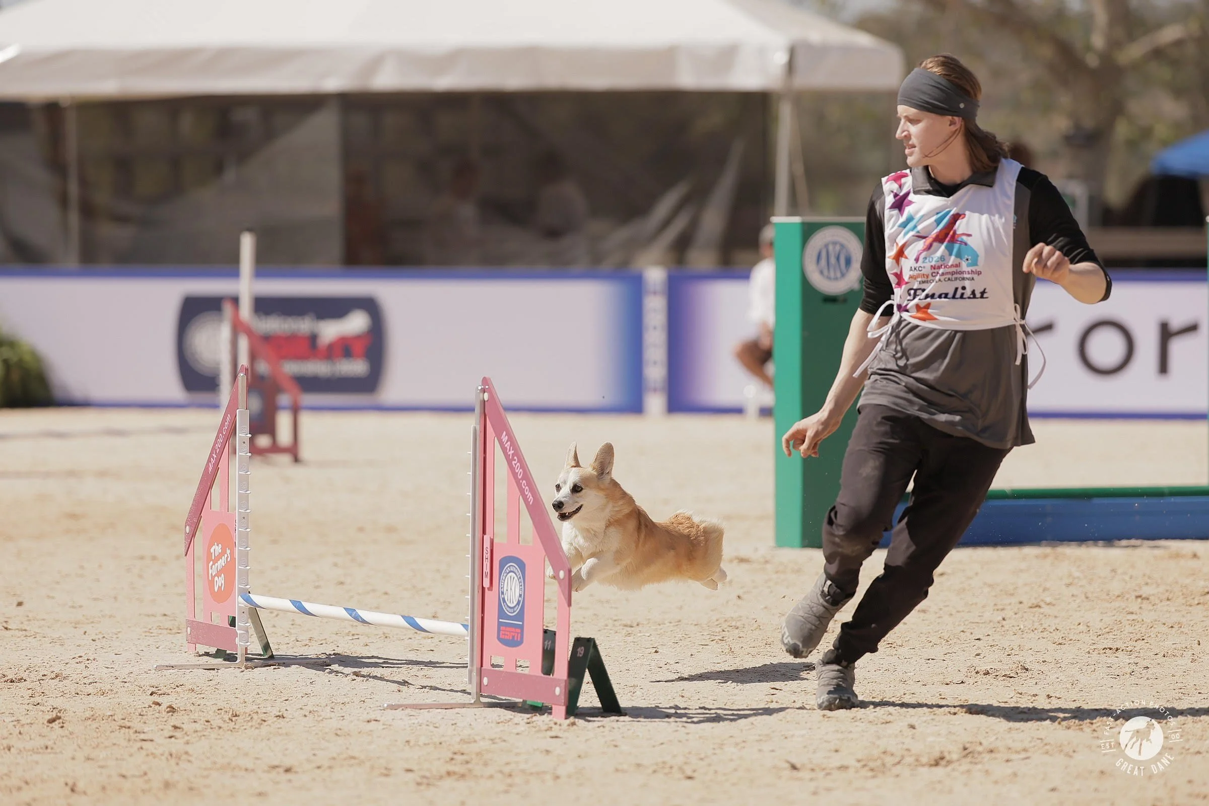 Newbies Shine at 2026 AKC National Agility Championship