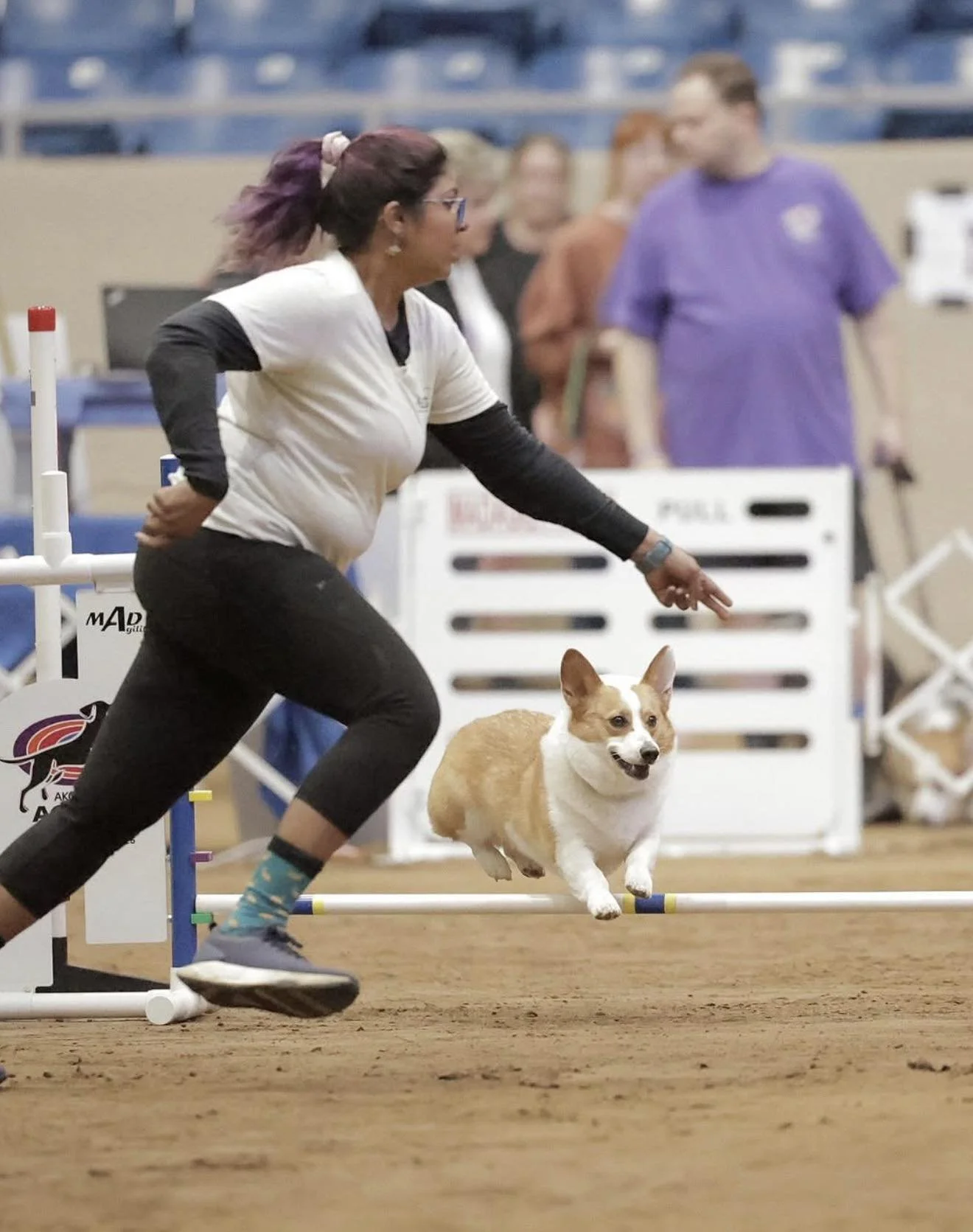 laavanya_chidi_agility.jpg