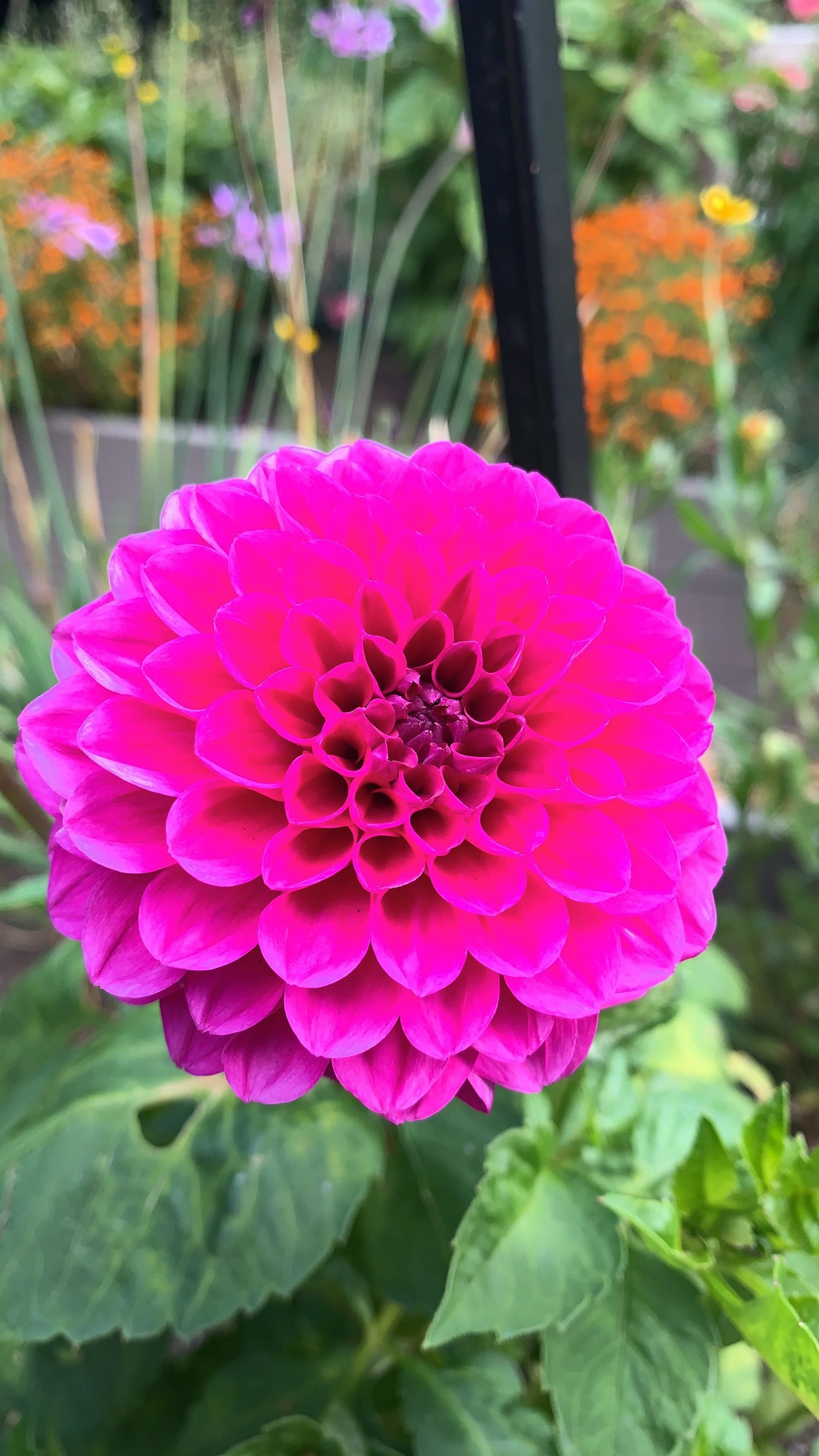 7 Books for People Living with Chronic Pain