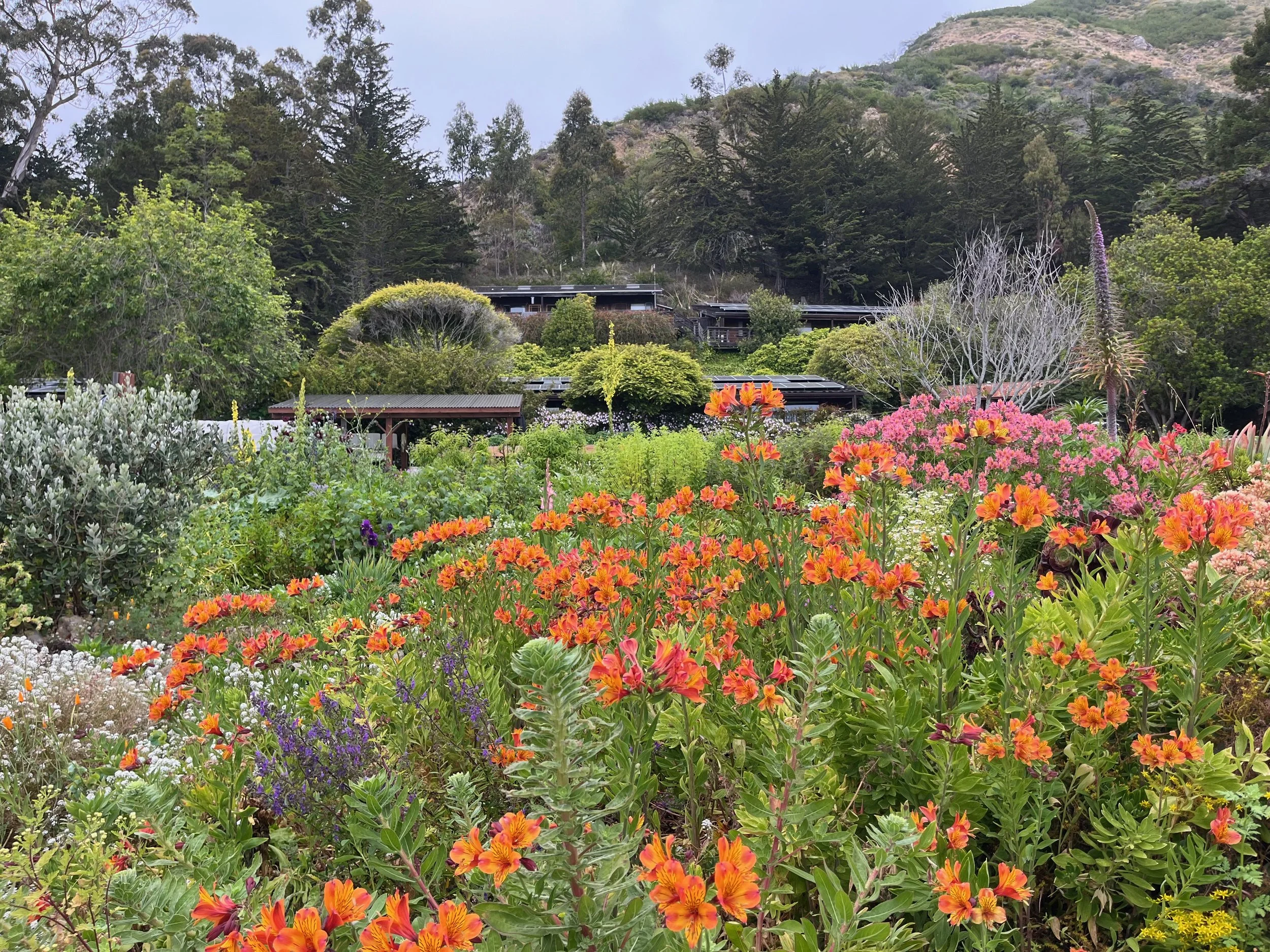 5 Books for People Living with Neuroplastic Pain