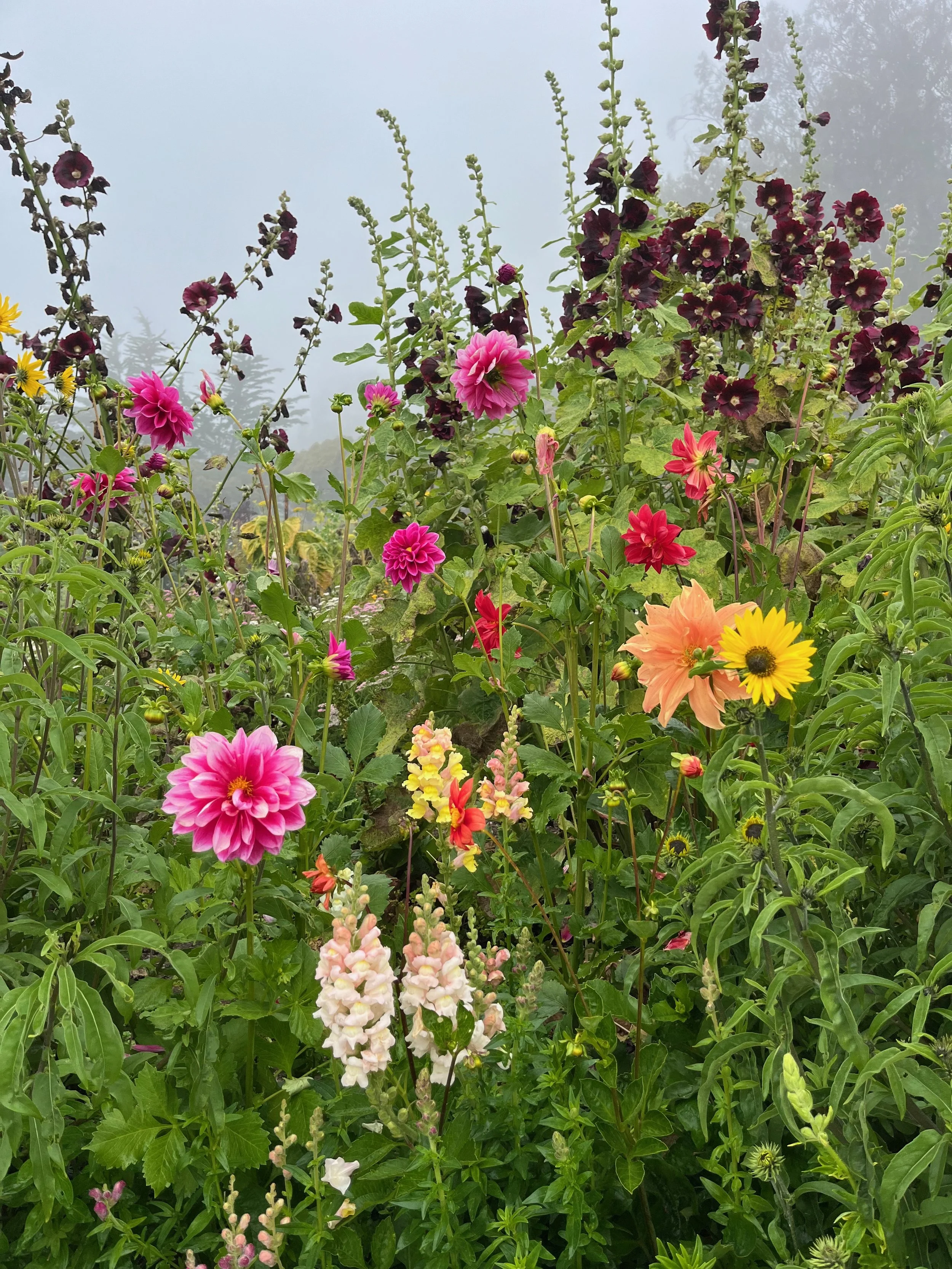 SOS: 10 Videos to Help With Intense Anxiety