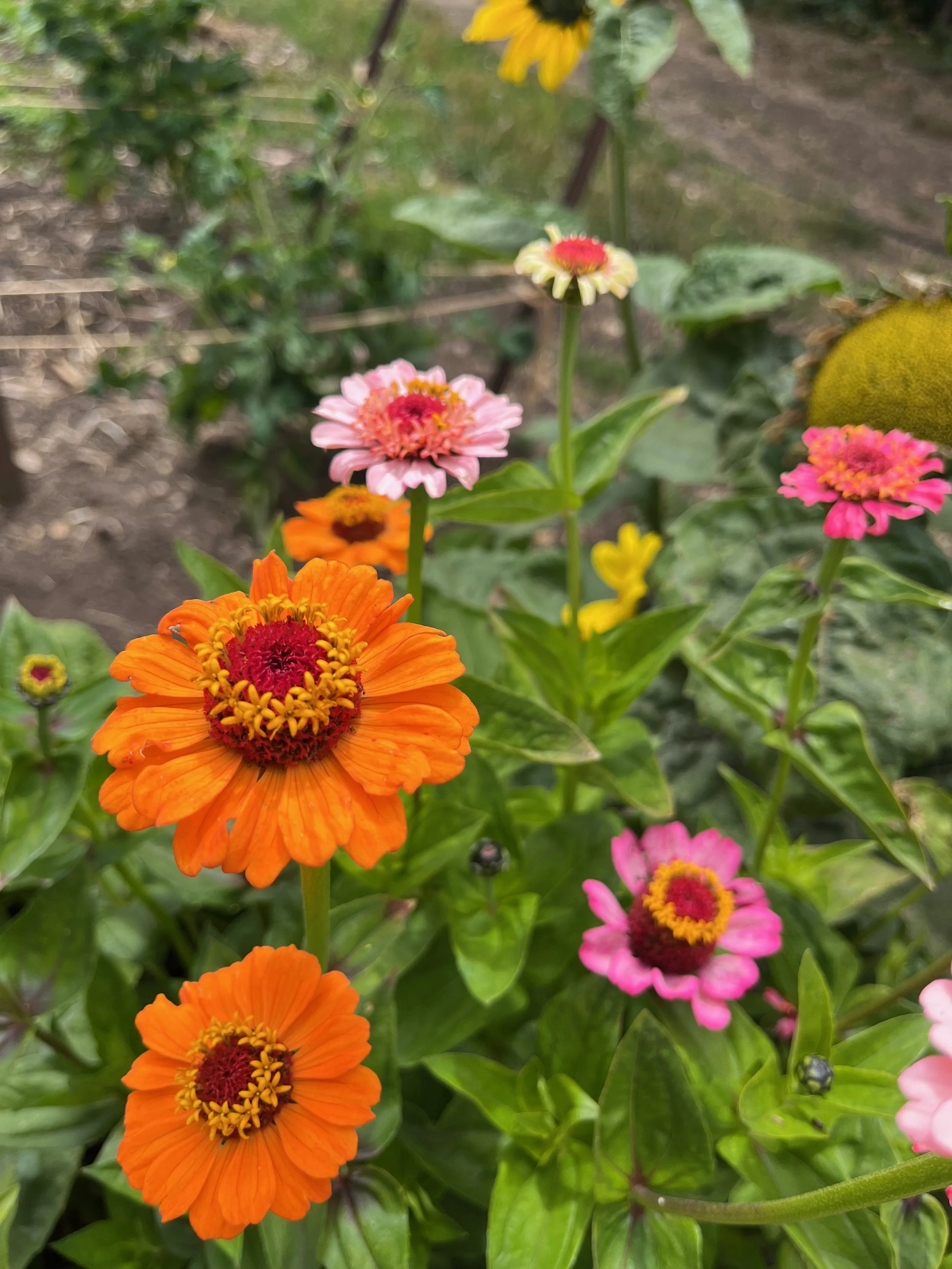 30 Ways to Respond to Anxiety 