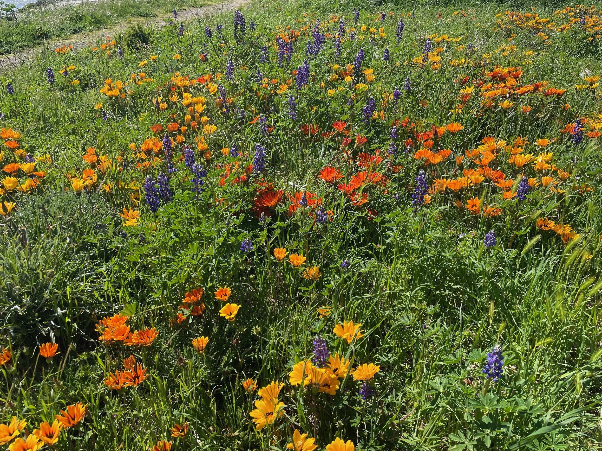 30 Ways to Help Psychogenic Erectile Dysfunction