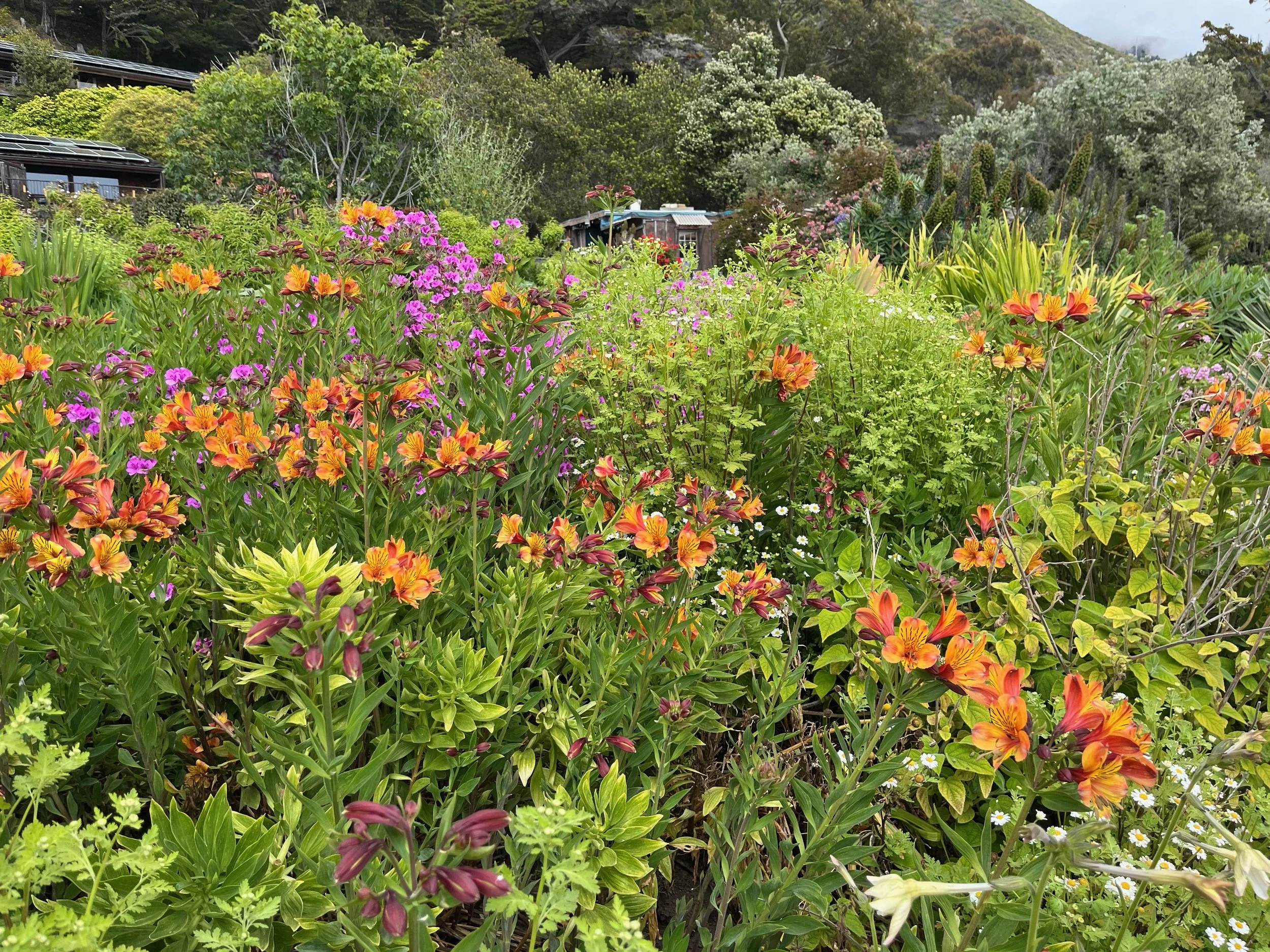 11 Books on Psychogenic Erectile Dysfunction and Sexual Health