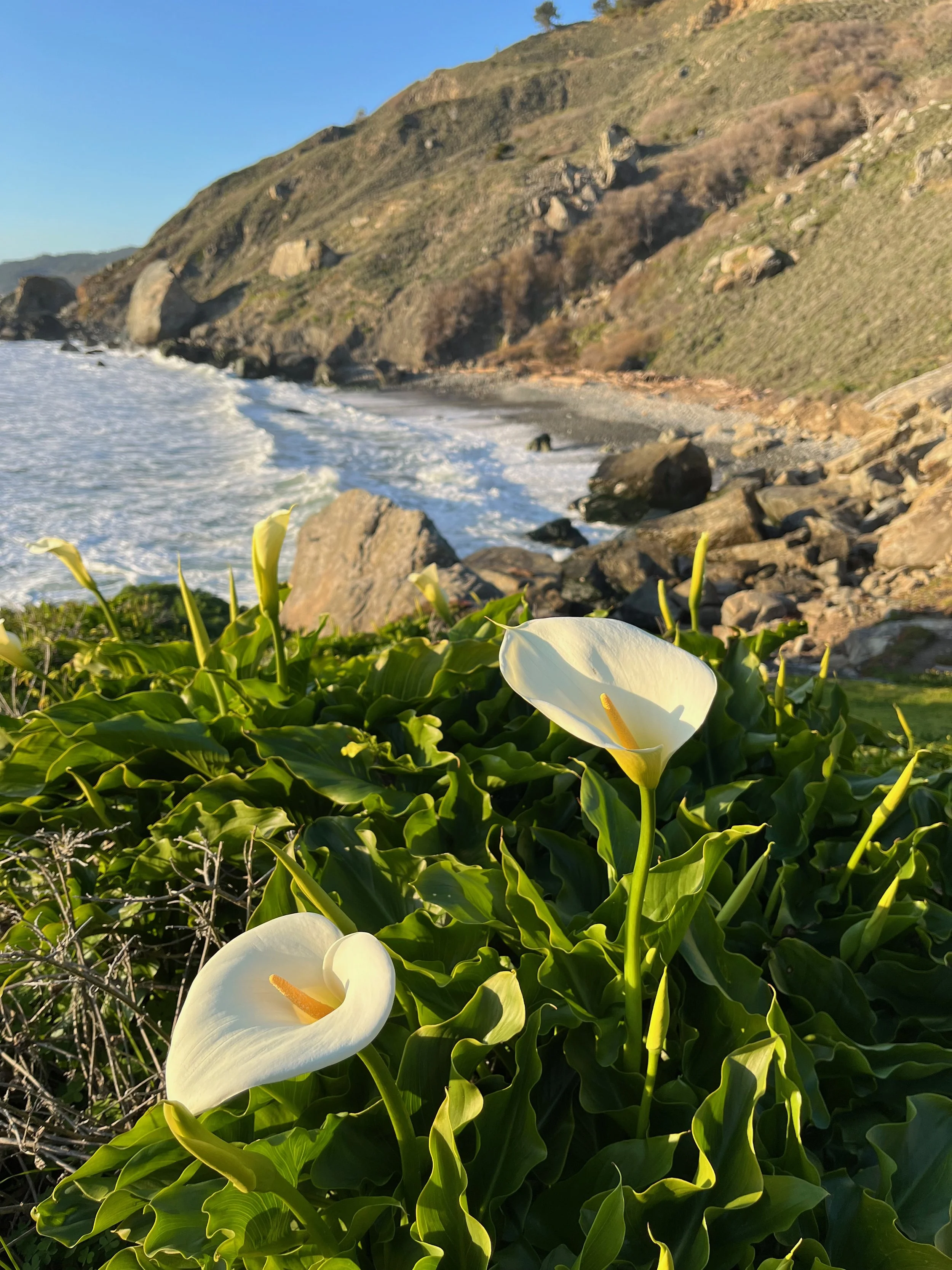 When You Wake Up Anxious