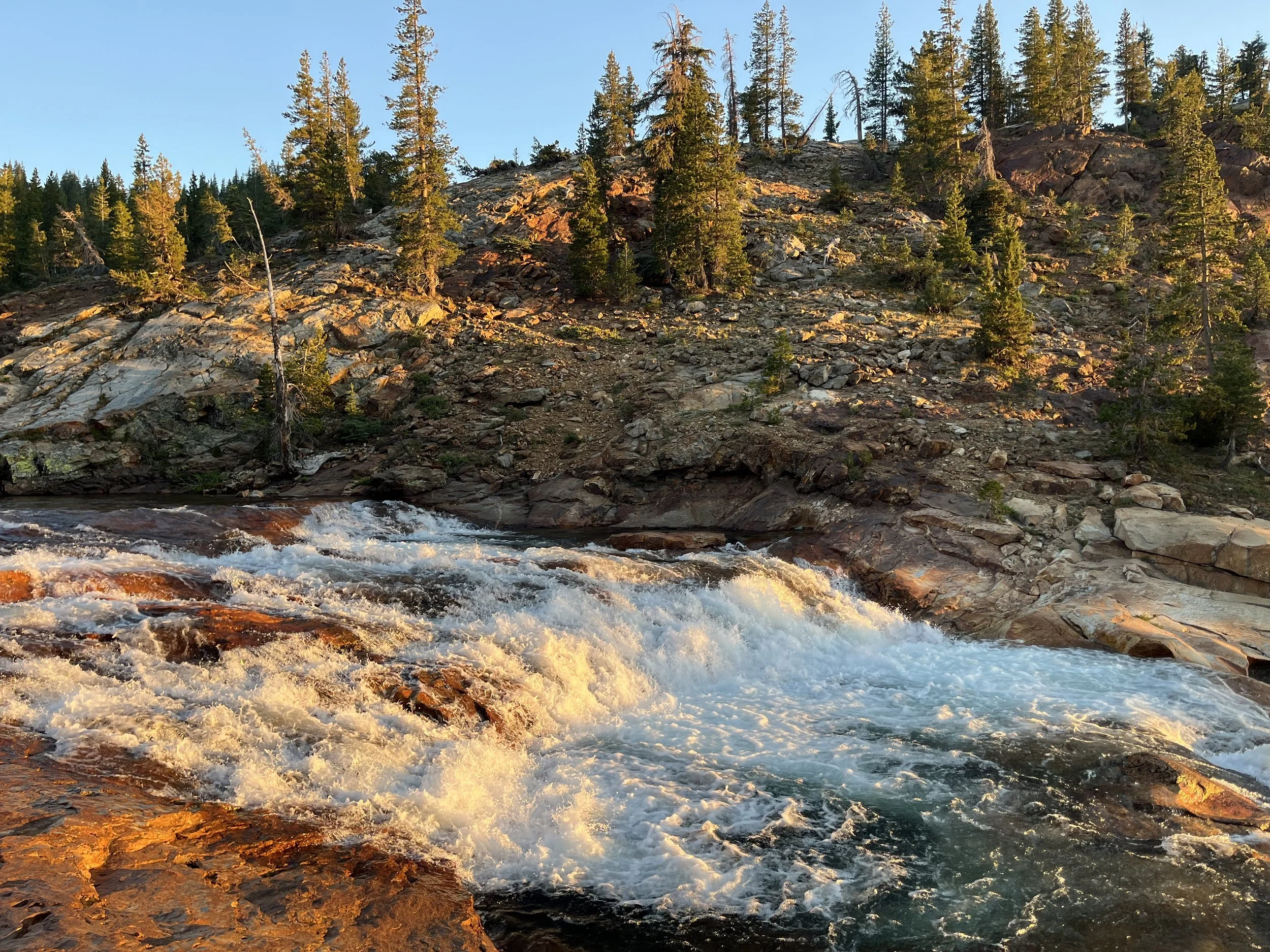 A river flowing over rocks with a forested hillside and trees in the background during sunset.