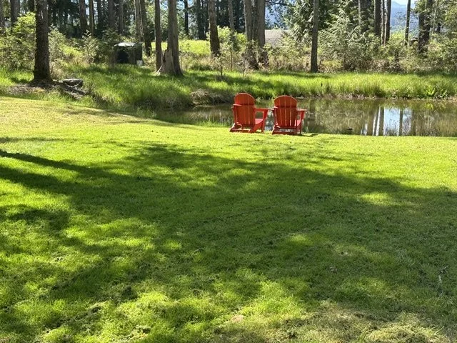 image5.jpeg