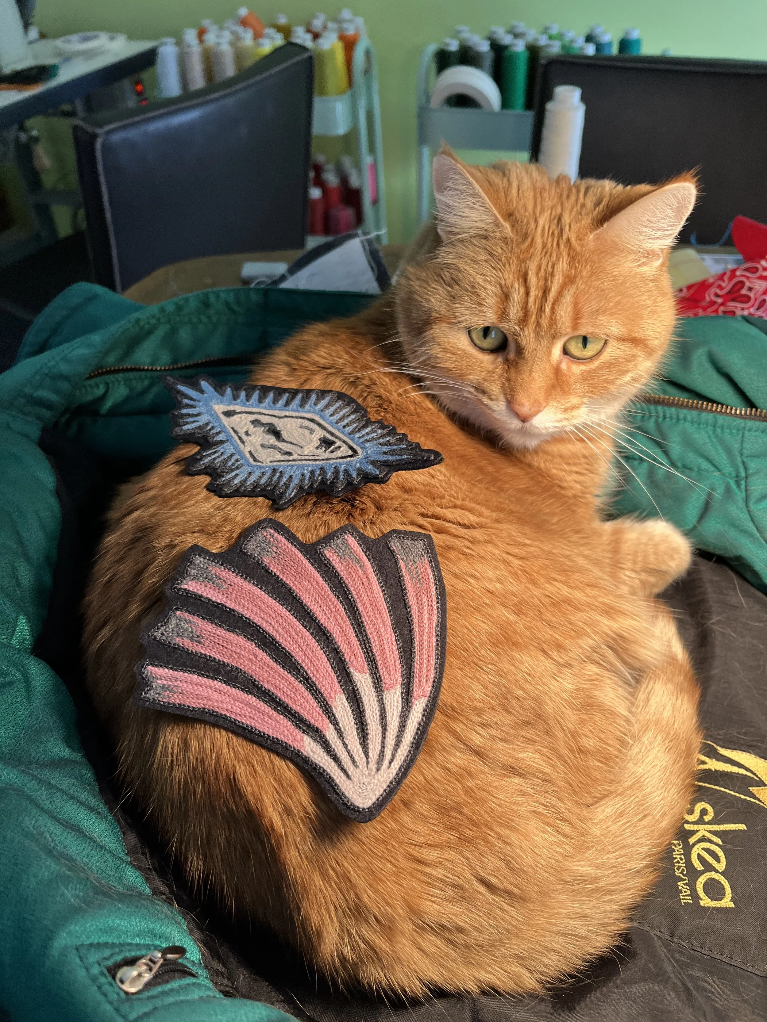 Kitty, comets 3.jpeg