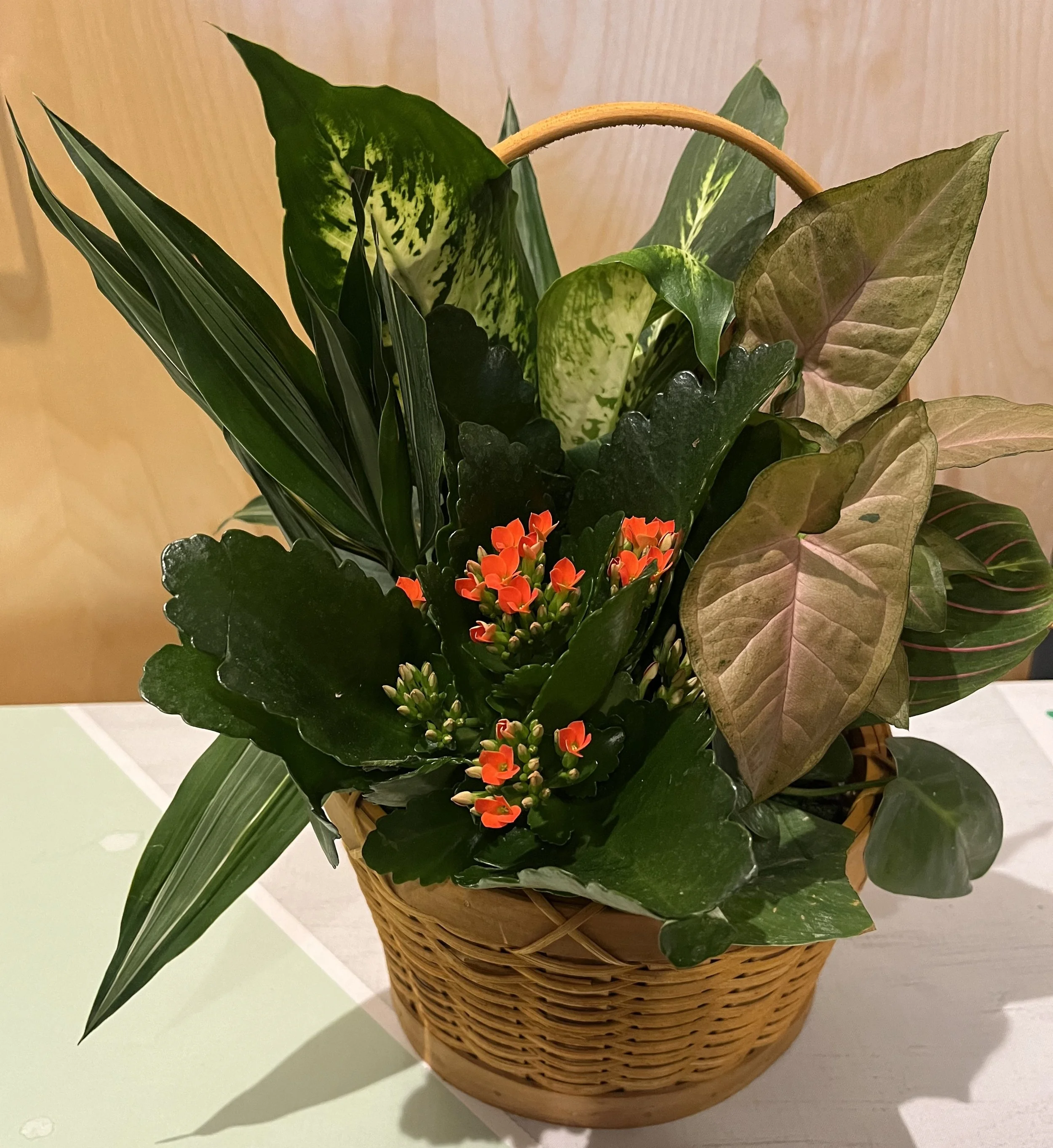 8 inch assorted basket