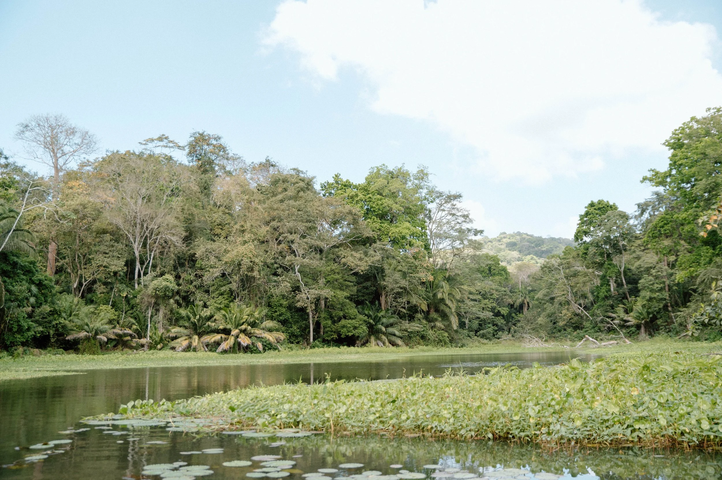 PANAMA-2024-4498.jpg