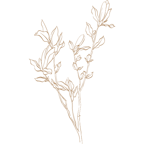 flower.webp