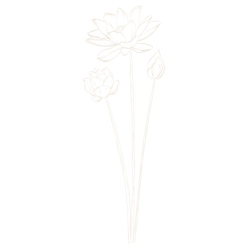 Untitled design (1).png