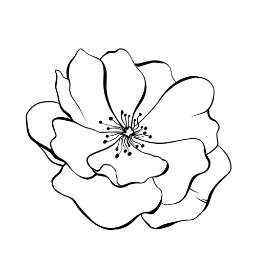 flower.png