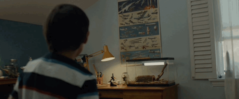 verizon1.gif