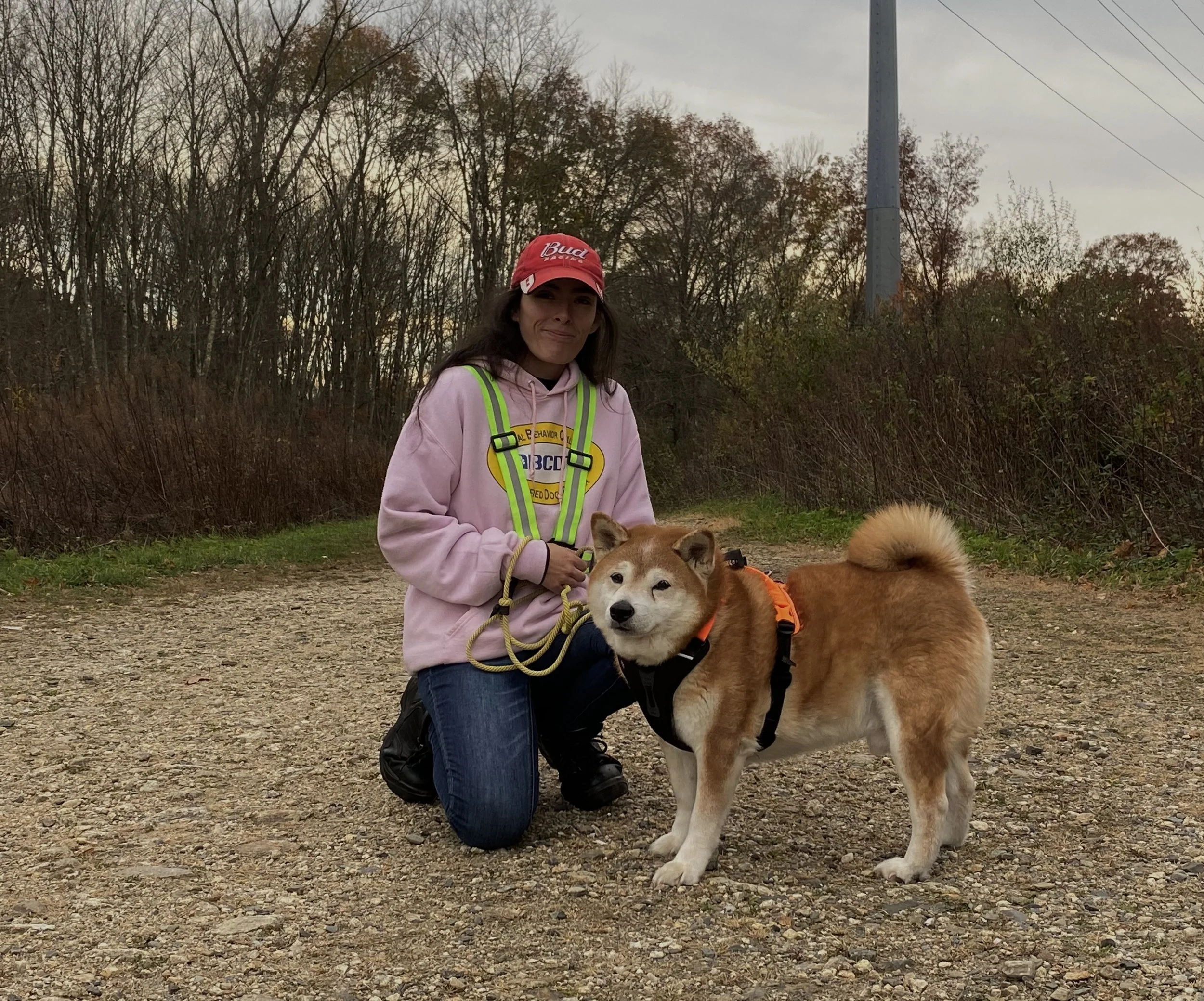 A young woman in a pink hoodie and high-visibility vest kneels beside a large, fluffy dog with light brown and white fur, outdoors on a gravel path with autumn trees in the background.