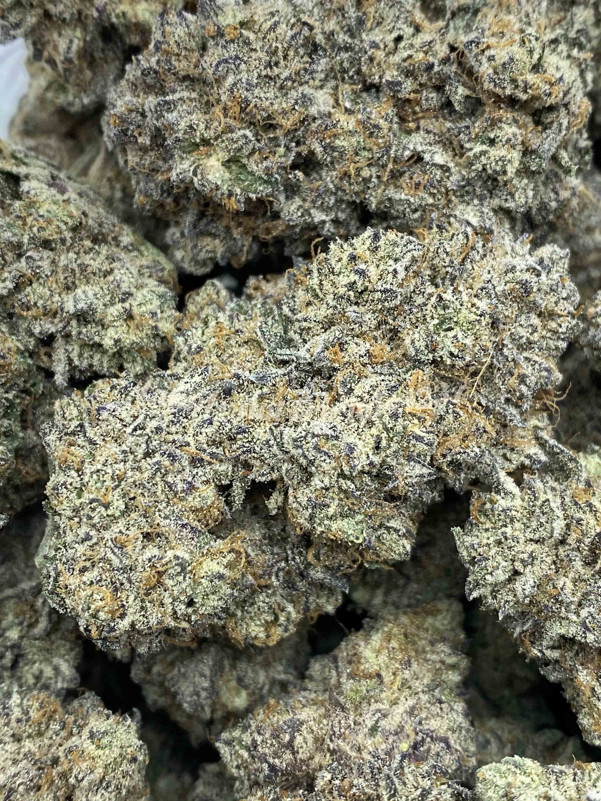 King Sherb is a premium hybrid cannabis strain known for its sweet, dessert-like flavor and powerful, relaxing effects.