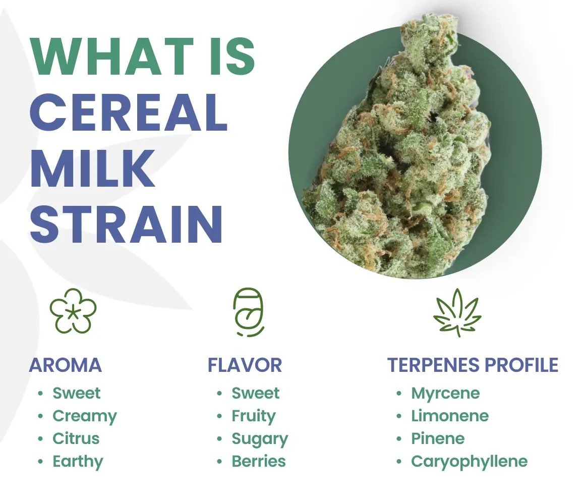 Buy Cereal Milk cannabis