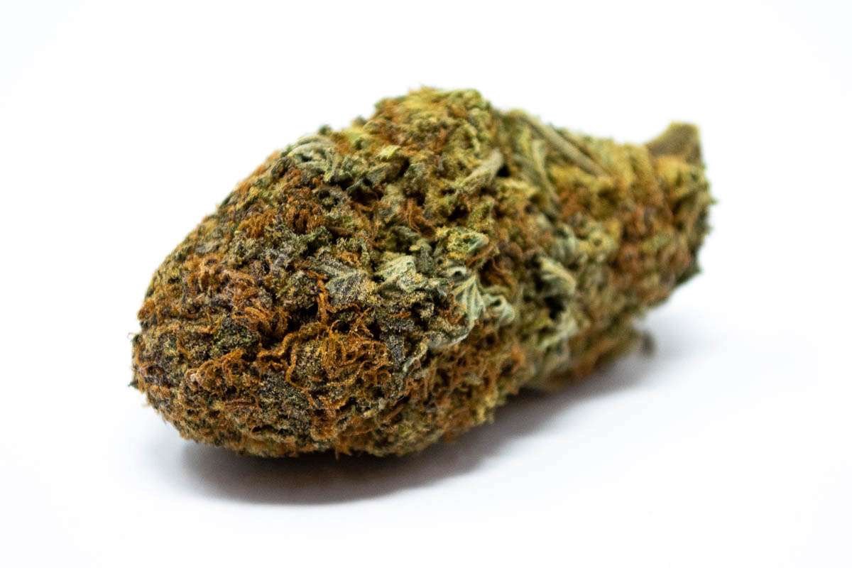 CoCo PuFFs Cannabis Strain: A Flavorful Hybrid with Balanced Effects