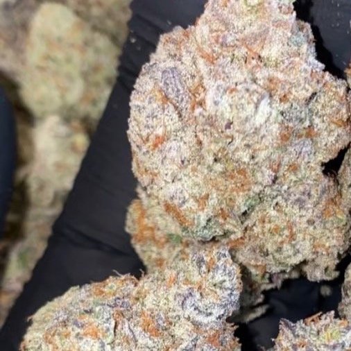 Cookies N Cream x Gelato 41: A Sweet Escape into Relaxation