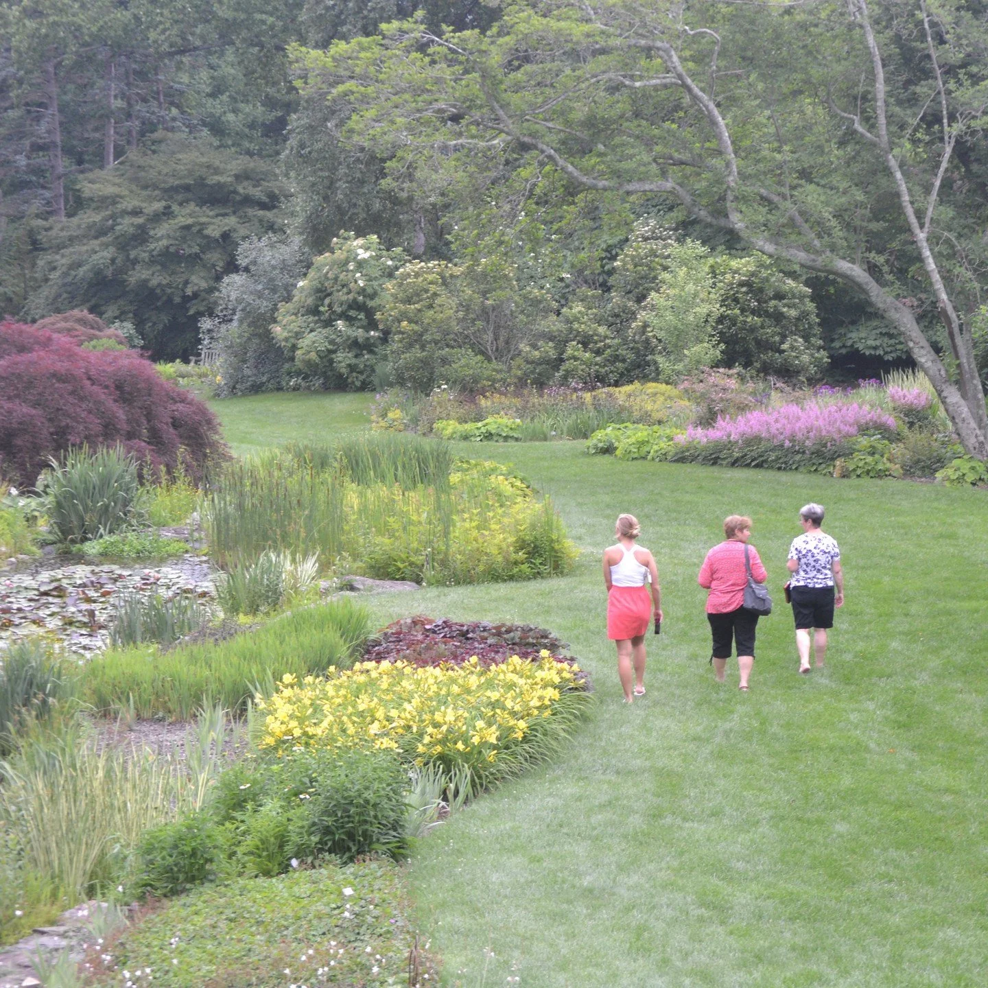 Calling all members! ✨
 
Join us tonight for our monthly after-hours Member Stroll from 4 - 8 pm.
 
Take a slow walk through the Gardens at dusk, take advantage of your 10% discount at the Gift Shop, or have a lovely evening dinner at the Caf&eacute;